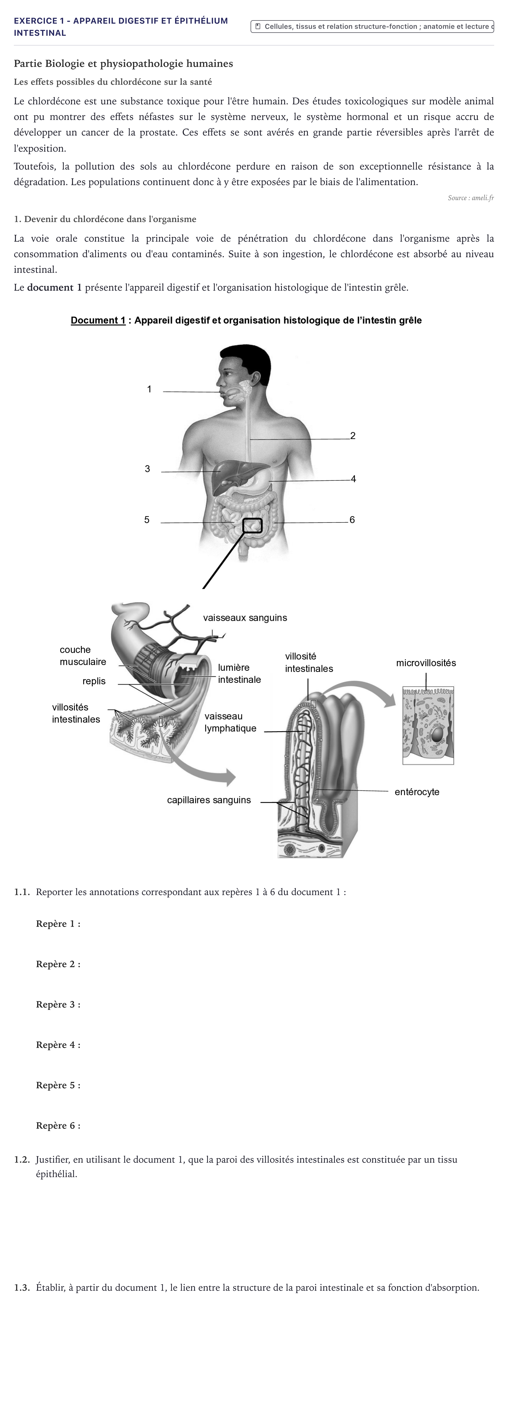 Énoncé: Exercice 1 - Appareil digestif et épithélium intestinal · Bac ST2S Chimie, Biologie et Physiopathologie Humaines Métropole 2026