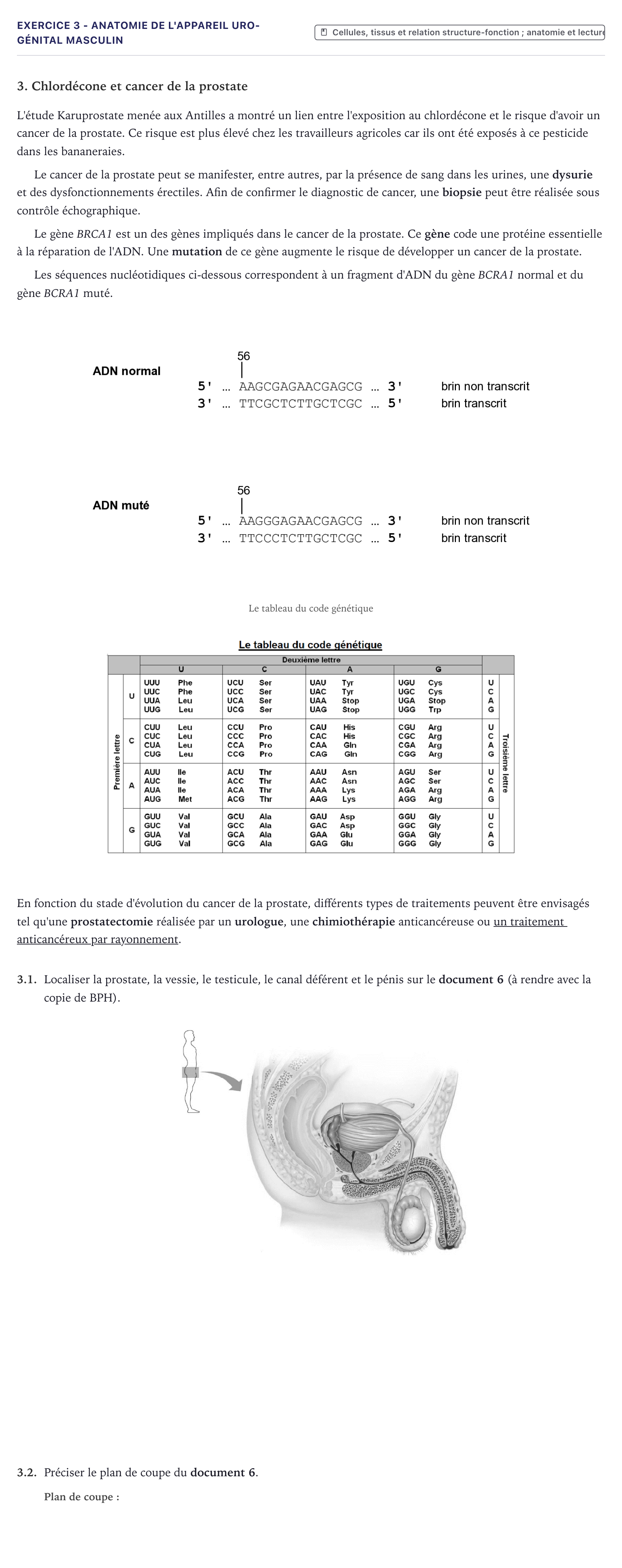 Énoncé: Exercice 3 - Anatomie de l'appareil uro-génital masculin · Bac ST2S Chimie, Biologie et Physiopathologie Humaines Métropole 2026
