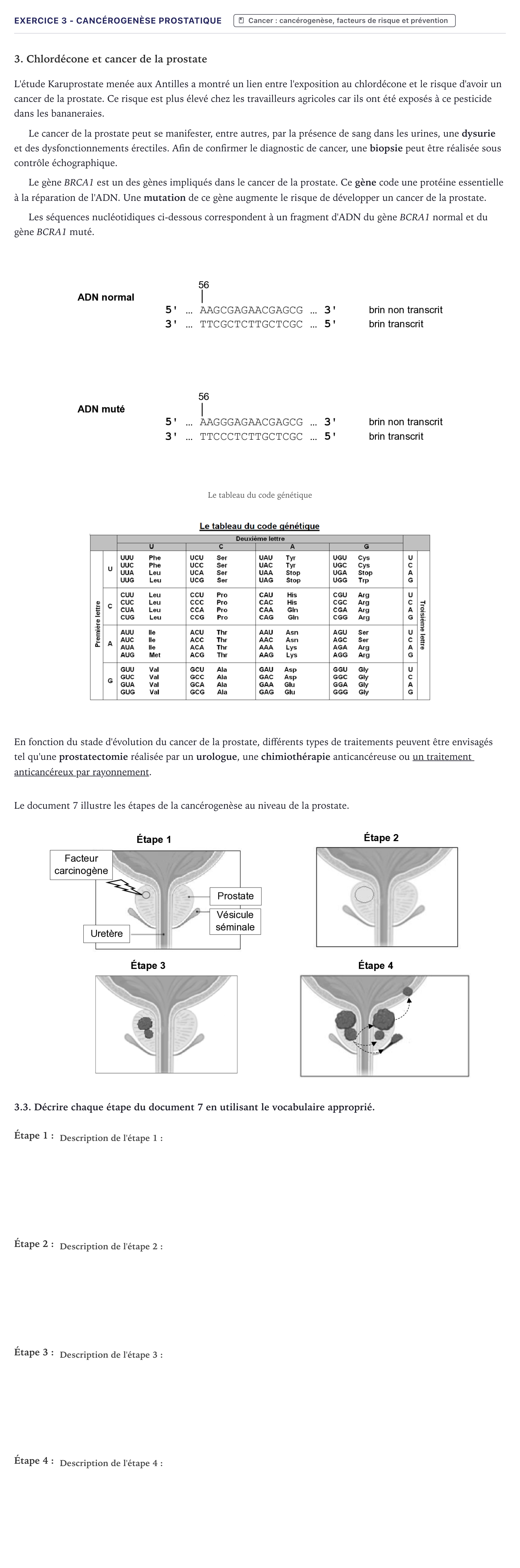 Énoncé: Exercice 3 - Cancérogenèse prostatique · Bac ST2S Chimie, Biologie et Physiopathologie Humaines Métropole 2026