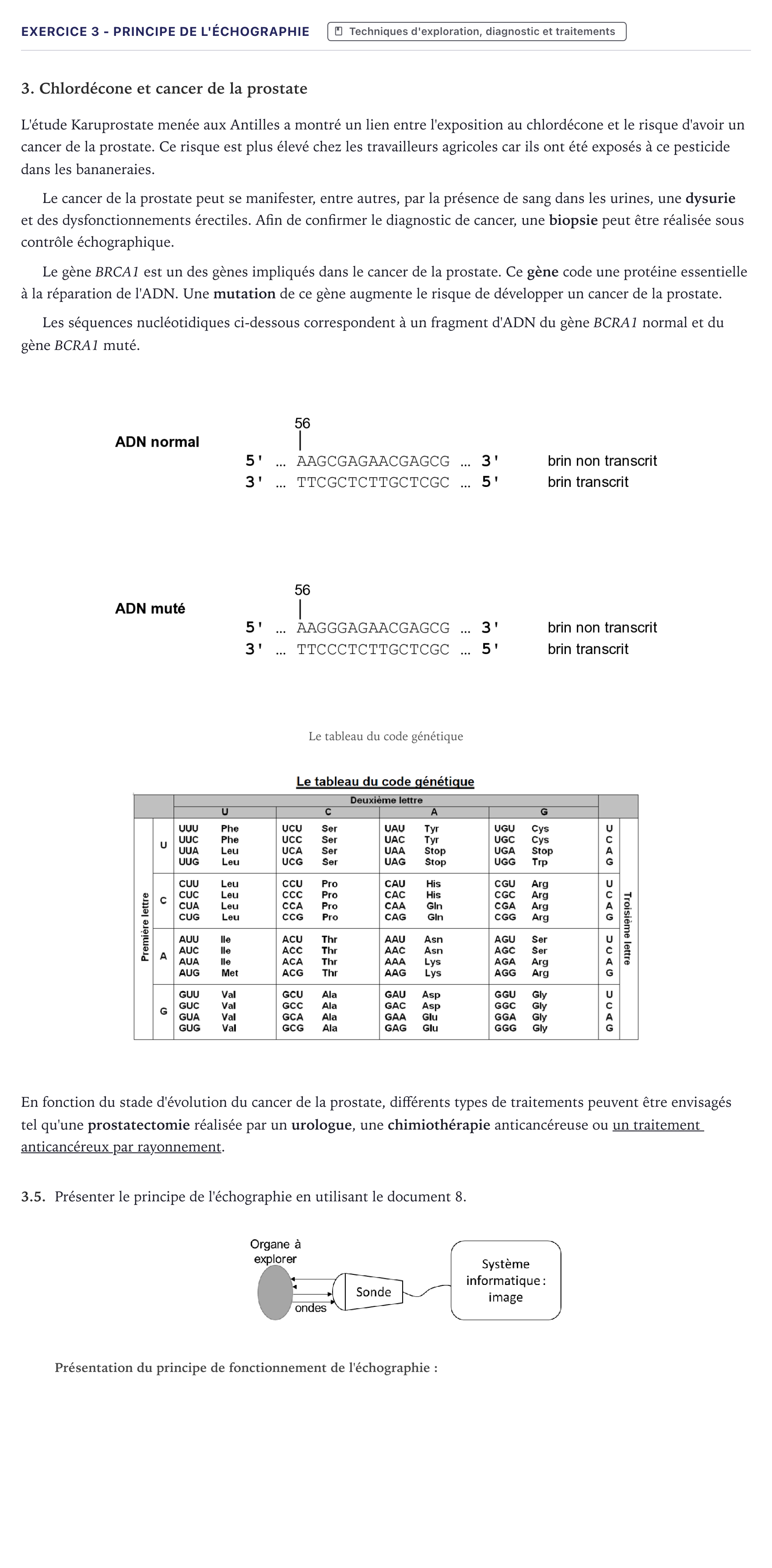 Énoncé: Exercice 3 - Principe de l'échographie · Bac ST2S Chimie, Biologie et Physiopathologie Humaines Métropole 2026