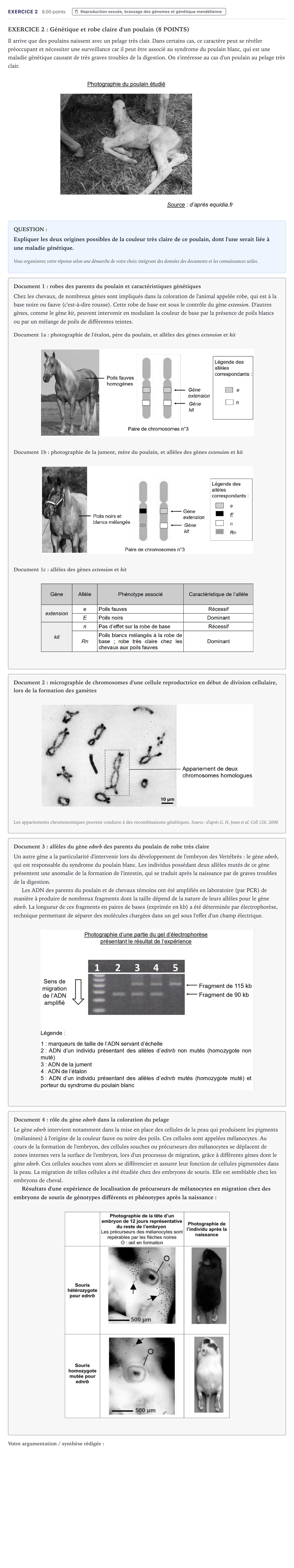 Énoncé: Exercice 2 · Bac Sciences de la Vie et de la Terre Métropole 2025 (sujet 2)