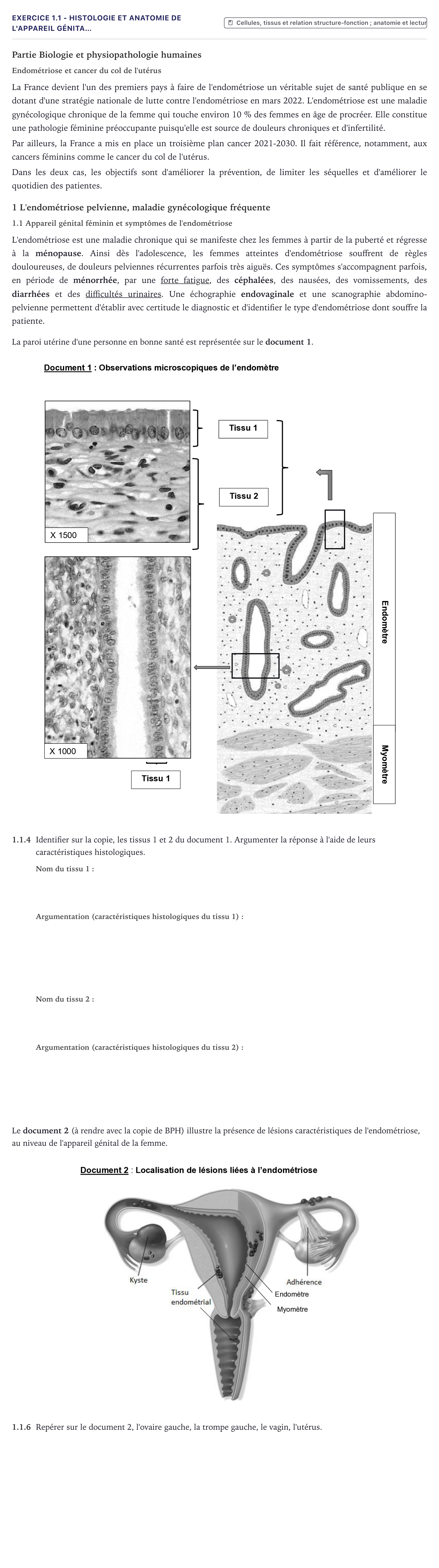 Énoncé: Exercice 1.1 - Histologie et anatomie de l'appareil génita… · Bac ST2S Chimie, Biologie et Physiopathologie Humaines Métropole 2025