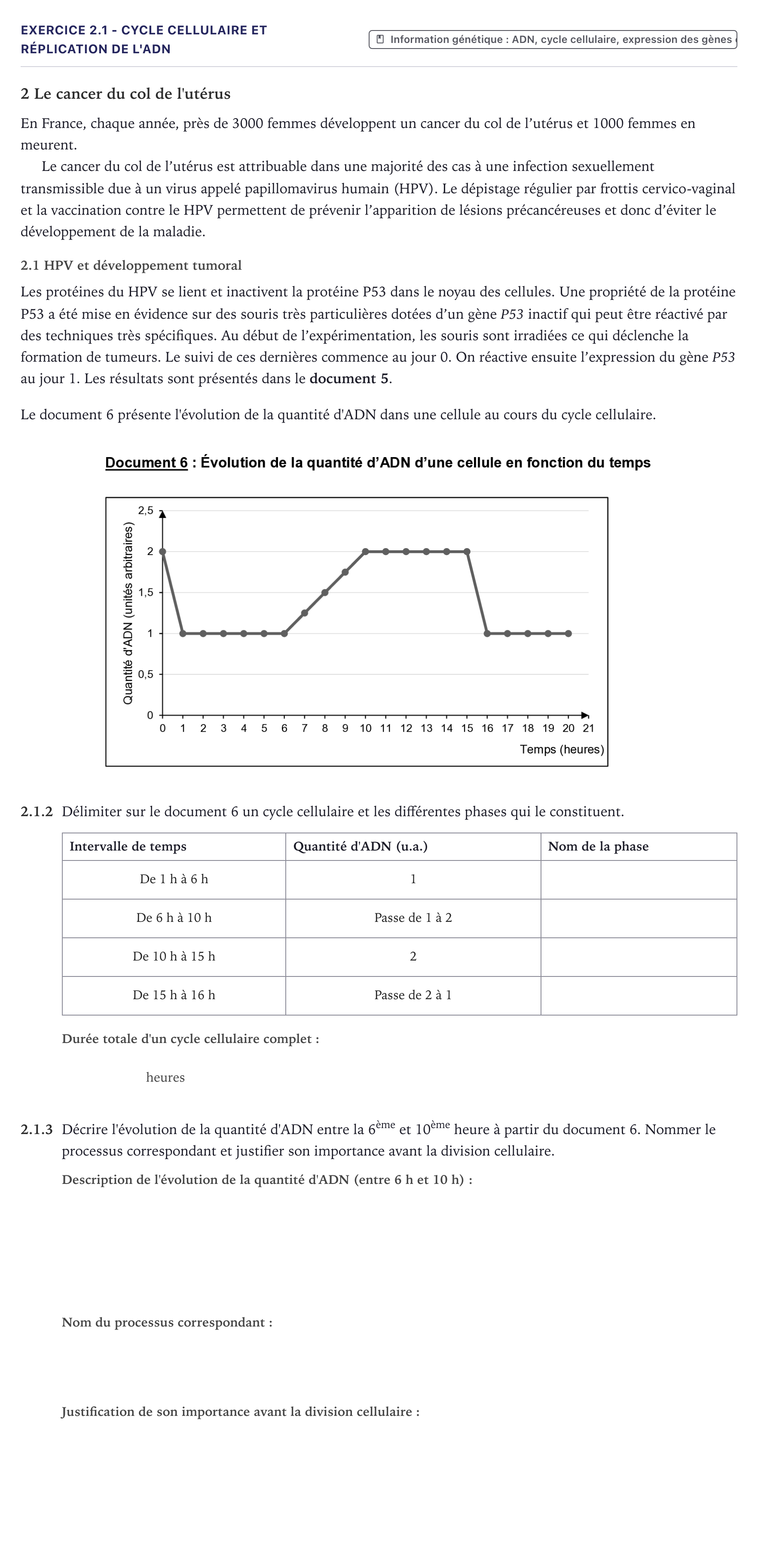 Énoncé: Exercice 2.1 - Cycle cellulaire et réplication de l'ADN · Bac ST2S Chimie, Biologie et Physiopathologie Humaines Métropole 2025