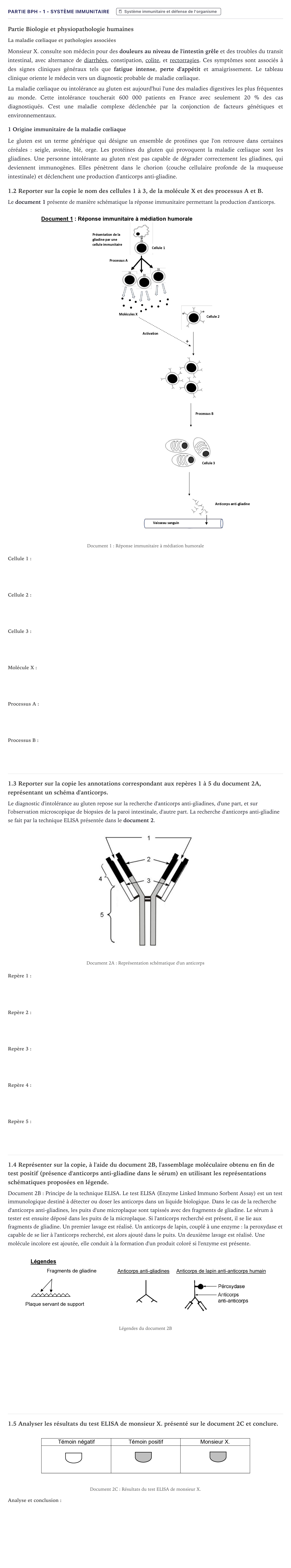 Énoncé: Partie BPH - 1 - Système immunitaire · Bac ST2S Chimie, Biologie et Physiopathologie Humaines Métropole 2024