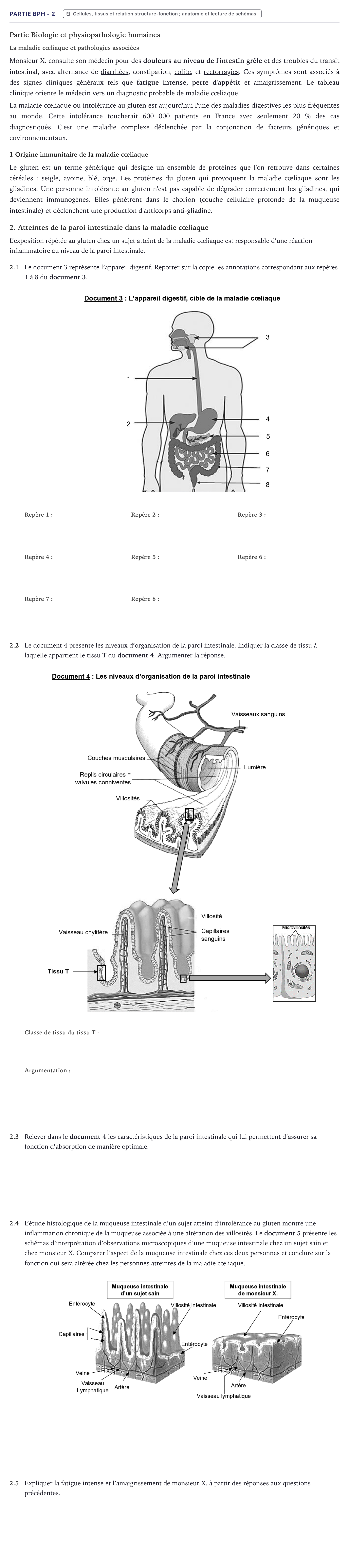 Énoncé: Partie BPH - 2 · Bac ST2S Chimie, Biologie et Physiopathologie Humaines Métropole 2024