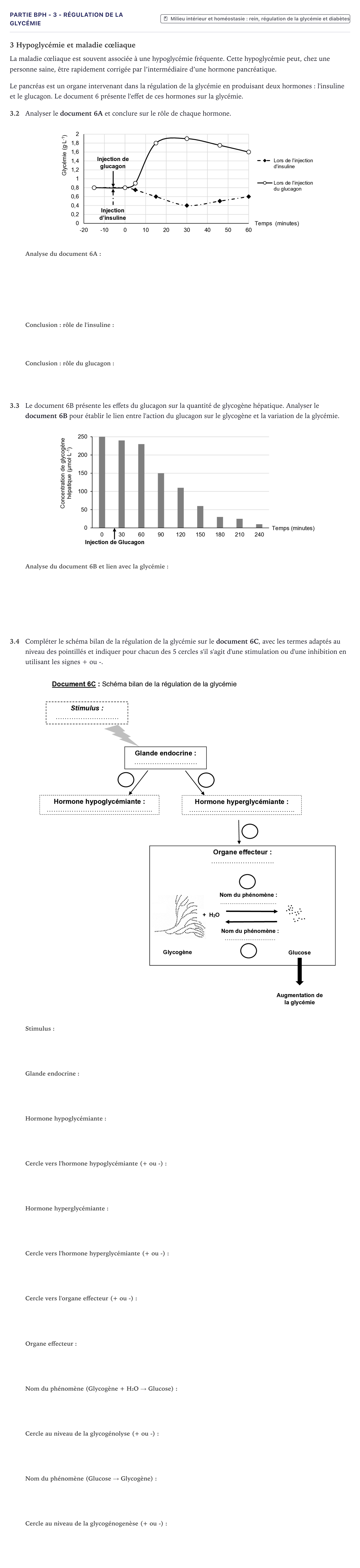 Énoncé: Partie BPH - 3 - Régulation de la glycémie · Bac ST2S Chimie, Biologie et Physiopathologie Humaines Métropole 2024