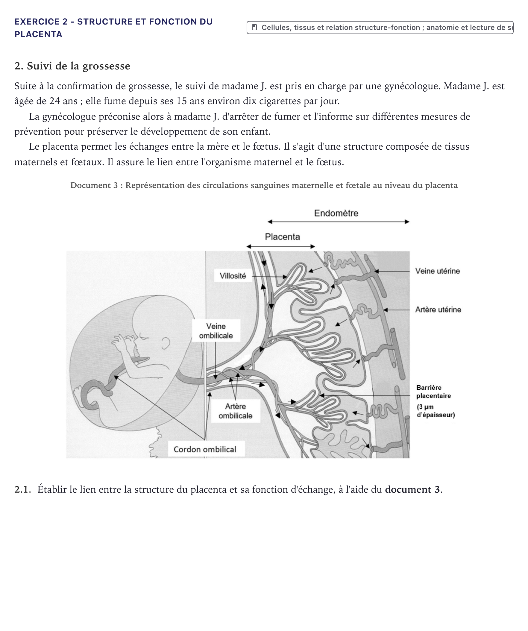 Énoncé: Exercice 2 - Structure et fonction du placenta · Bac ST2S Chimie, Biologie et Physiopathologie Humaines Métropole 2023