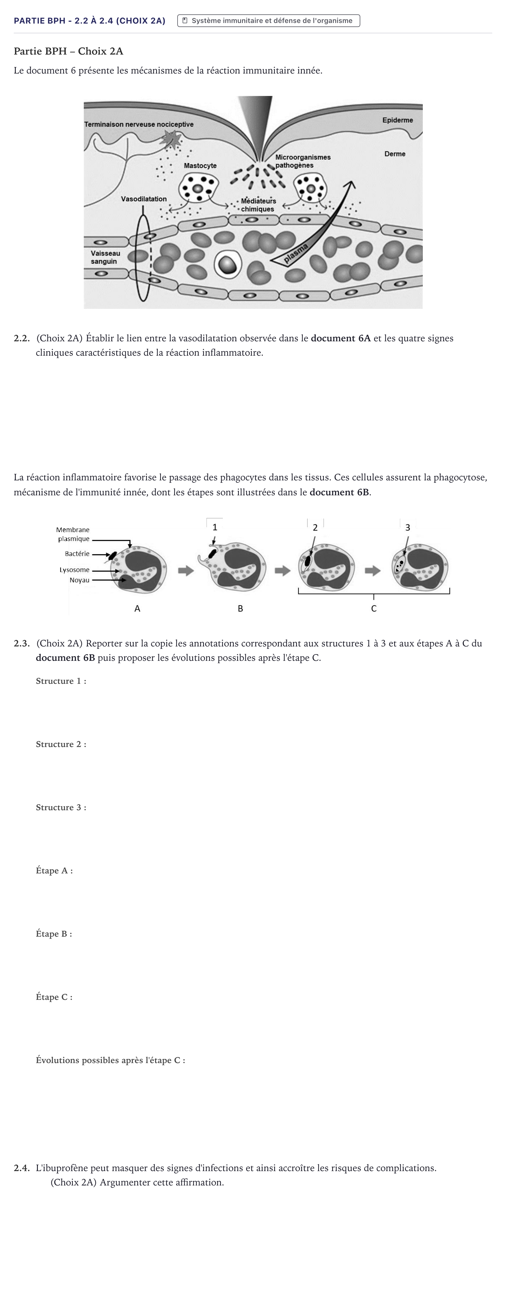 Énoncé: Partie BPH - 2.2 à 2.4 (Choix 2A) · Bac ST2S Chimie, Biologie et Physiopathologie Humaines Métropole 2022
