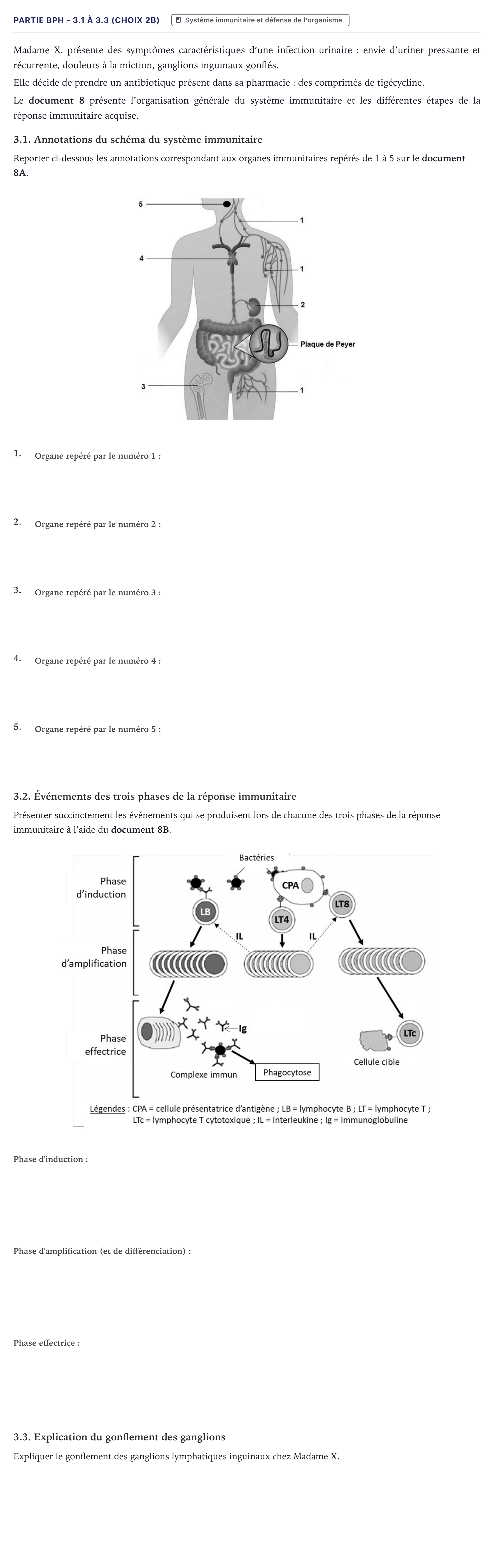 Énoncé: Partie BPH - 3.1 à 3.3 (Choix 2B) · Bac ST2S Chimie, Biologie et Physiopathologie Humaines Métropole 2022