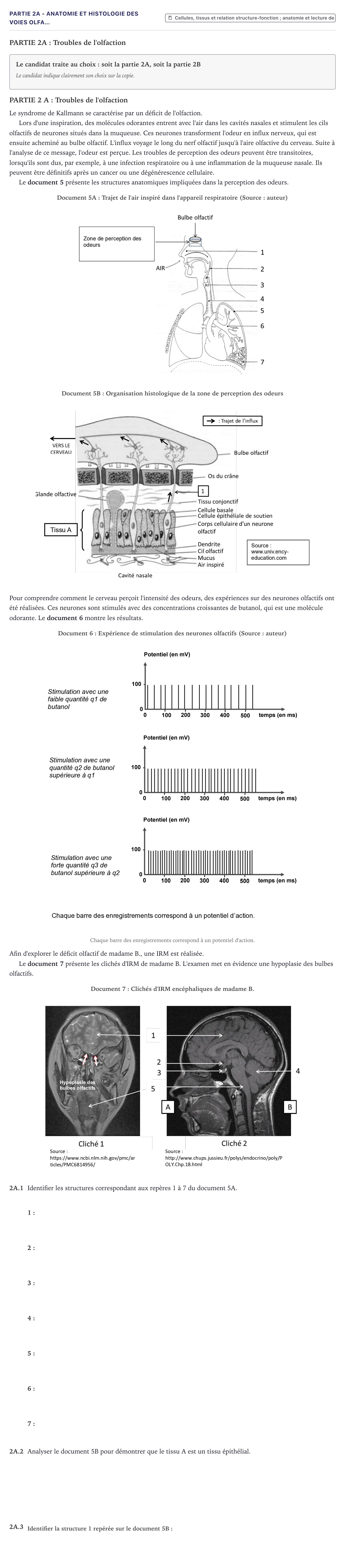 Énoncé: Partie 2A - Anatomie et histologie des voies olfa… · Bac ST2S Chimie, Biologie et Physiopathologie Humaines Métropole 2021