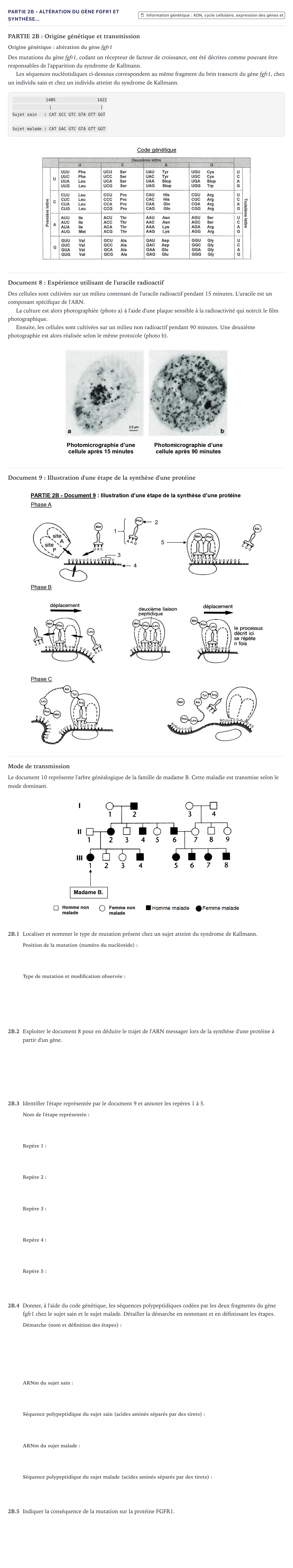 Énoncé: Partie 2B - Altération du gène fgfr1 et synthèse… · Bac ST2S Chimie, Biologie et Physiopathologie Humaines Métropole 2021