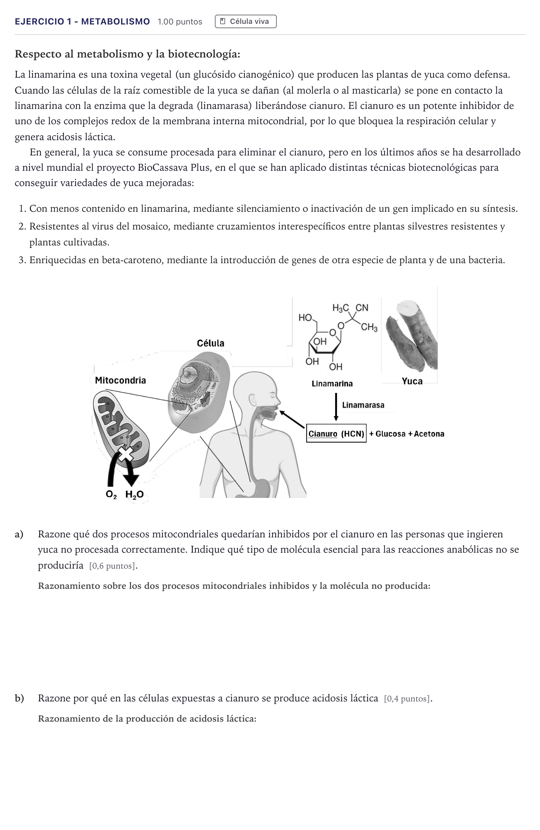 Enunciado: Ejercicio 1 - Metabolismo · Biología PAU Madrid Ordinaria Coincidencias 2026