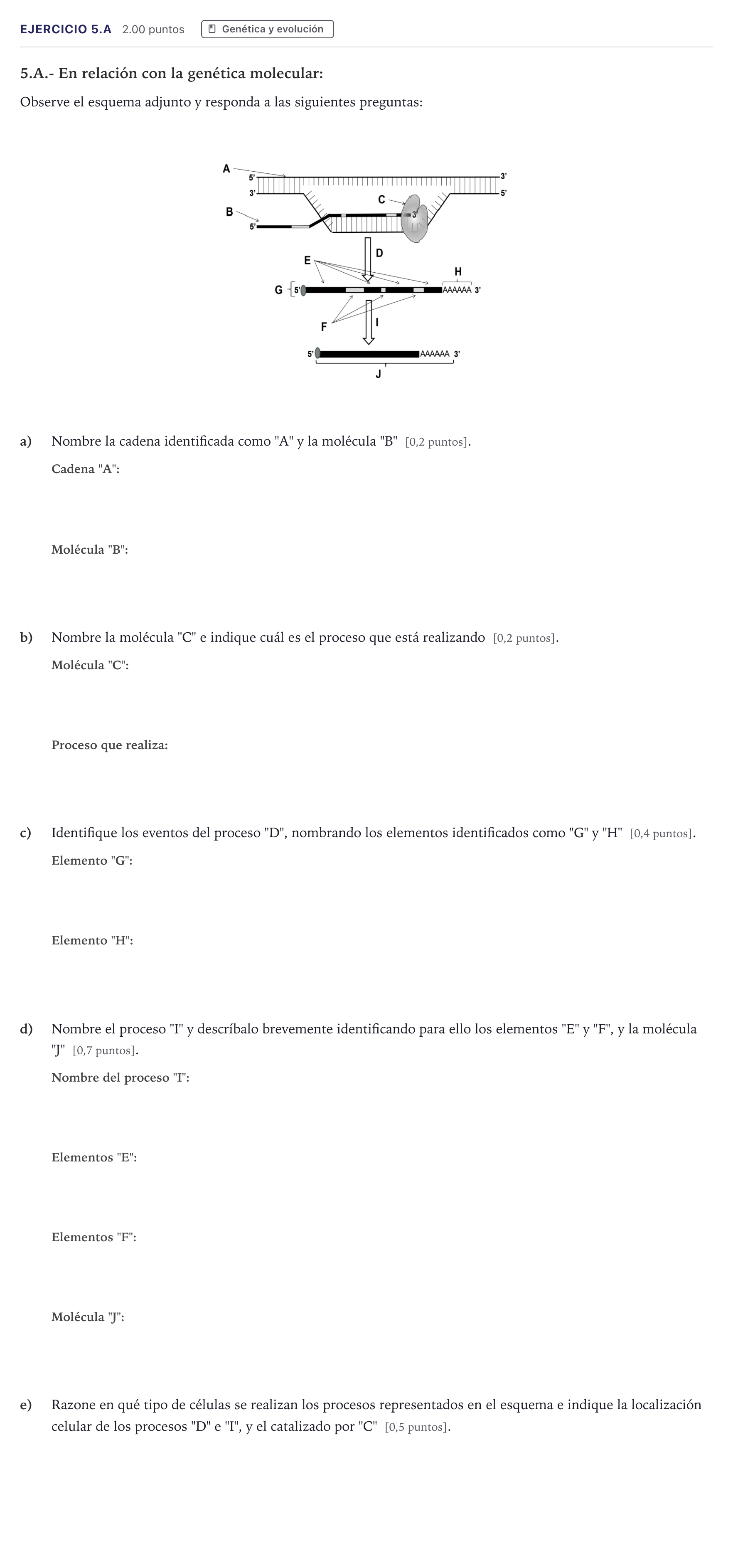 Enunciado: Ejercicio 5.A · Biología PAU Madrid Ordinaria Coincidencias 2026