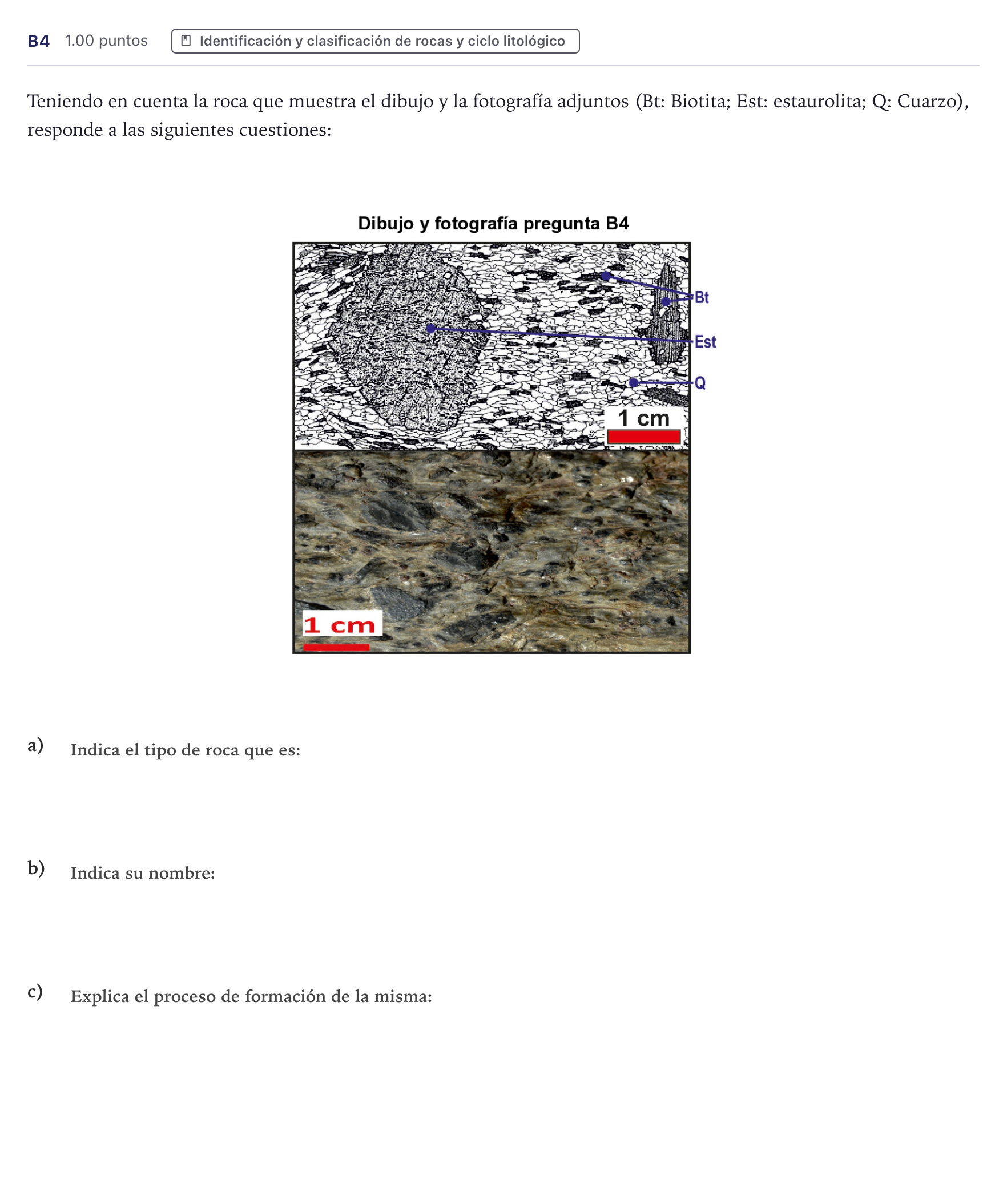 Enunciado: Ejercicio B4 · Geología PAU Canarias Junio 2021