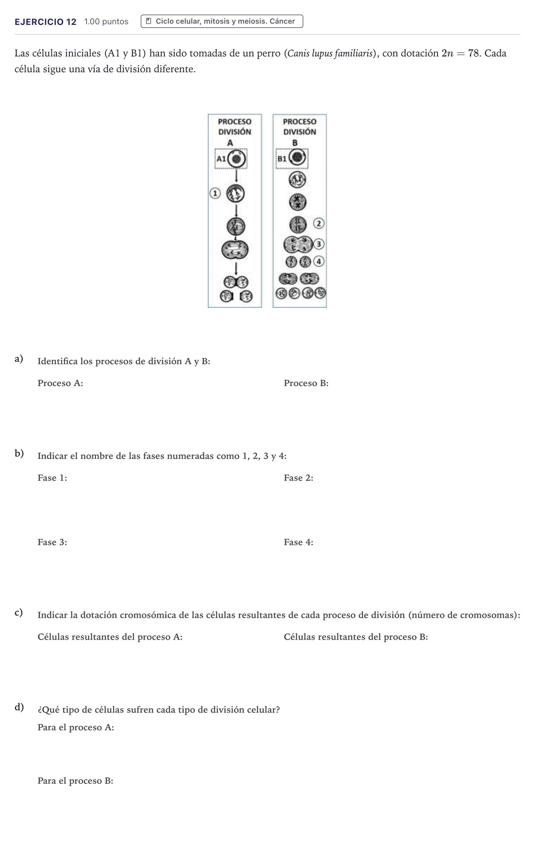 Enunciado: Problema 12 · Biología PAU Canarias Junio 2021