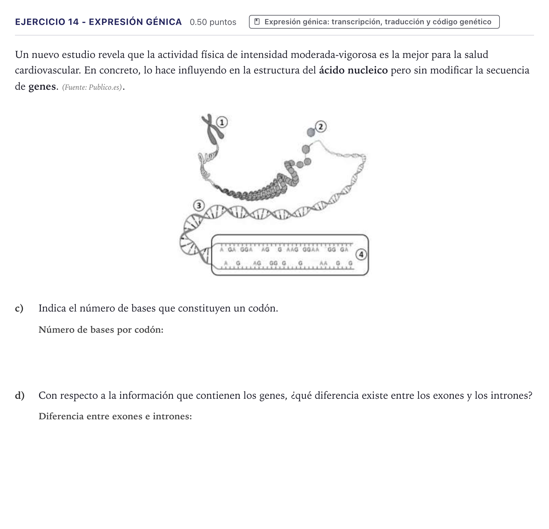 Enunciado: Ejercicio 14 - Expresión génica · Biología PAU Canarias Junio 2021