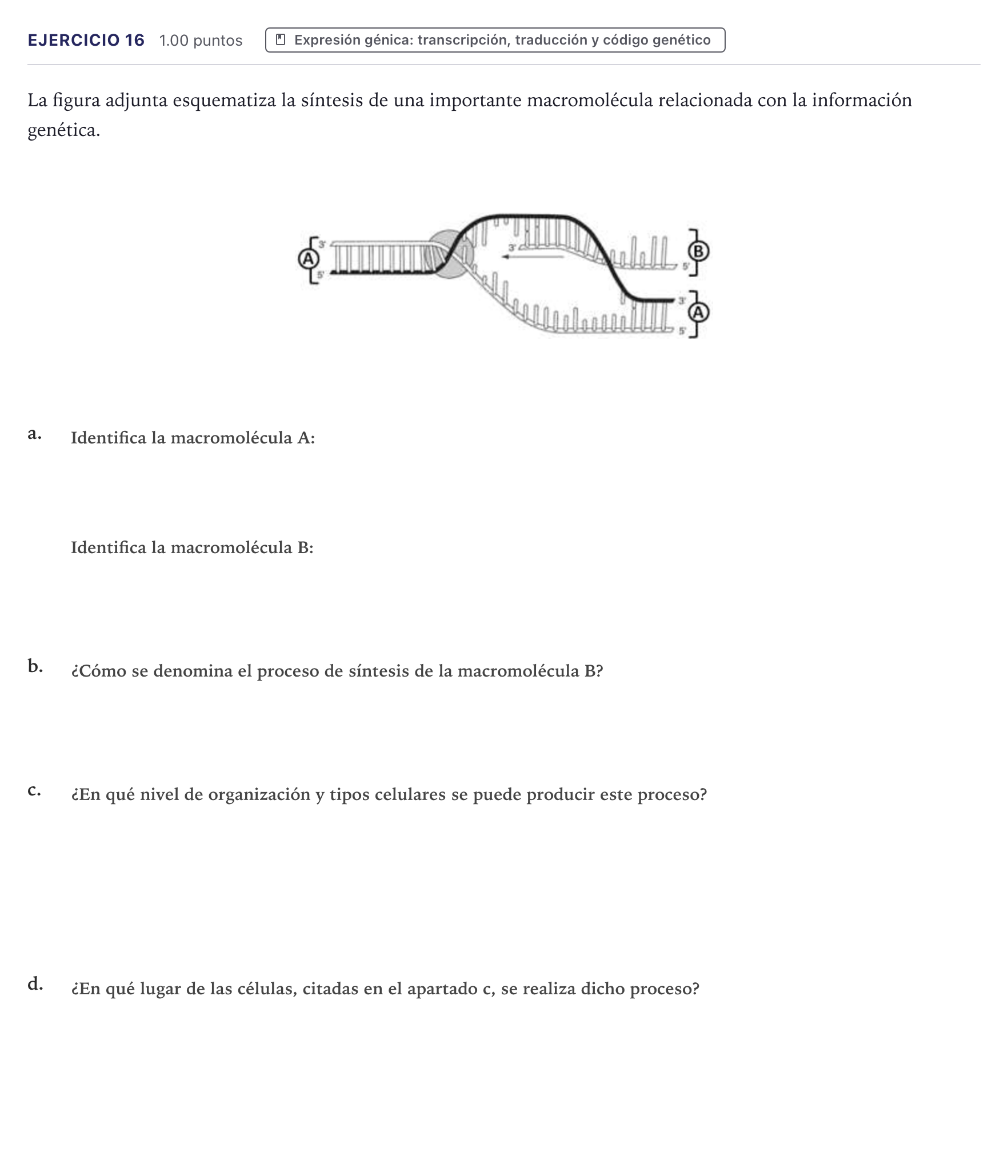 Enunciado: Problema 16 · Biología PAU Canarias Junio 2021