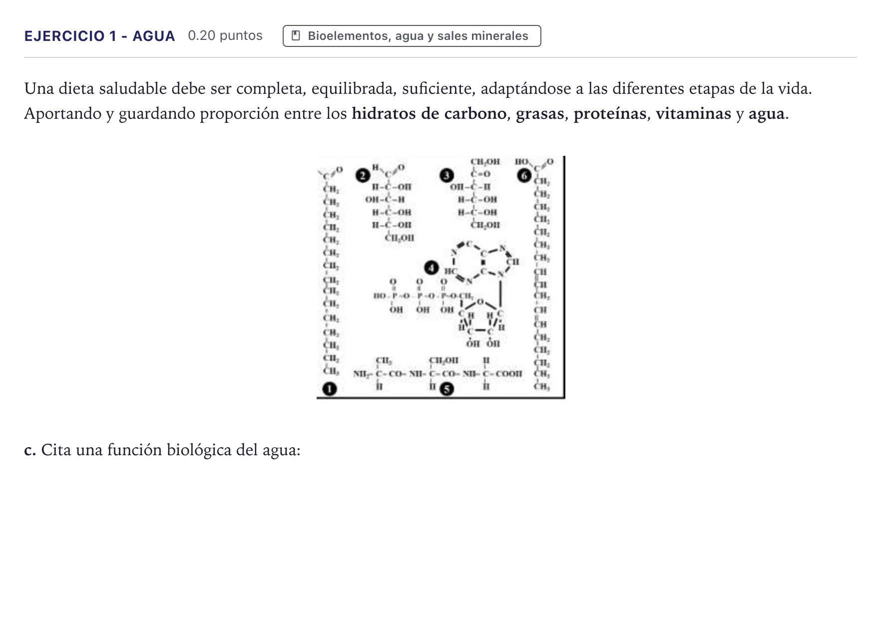 Enunciado: Ejercicio 1 - Agua · Biología PAU Canarias Junio 2021