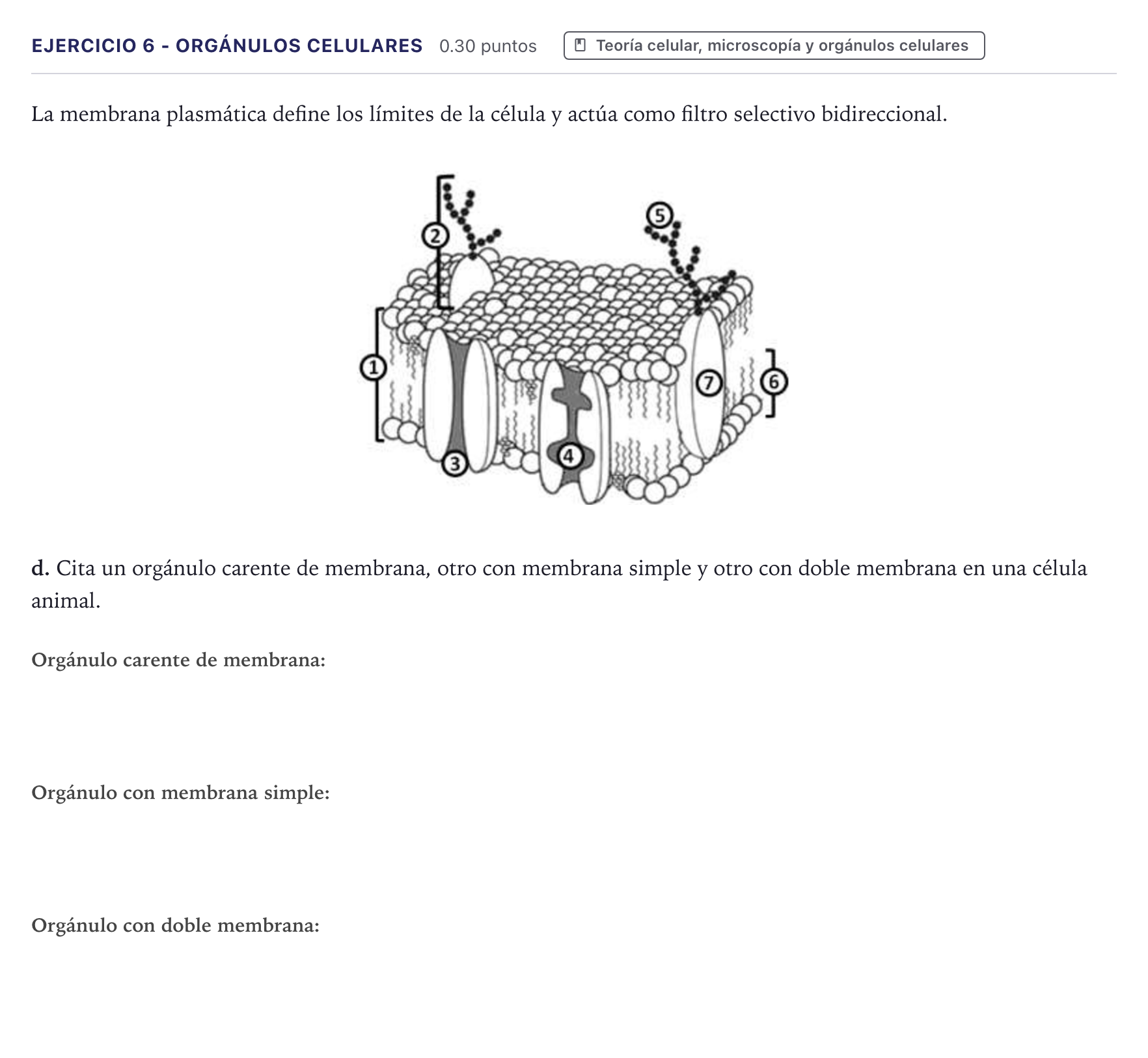 Enunciado: Ejercicio 6 - Orgánulos celulares · Biología PAU Canarias Junio 2021