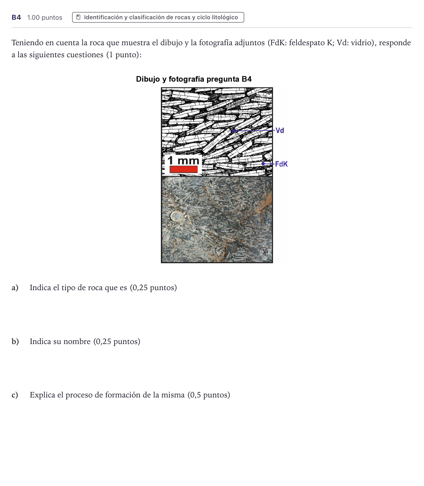 Enunciado: Ejercicio B4 · Geología PAU Canarias Julio 2021