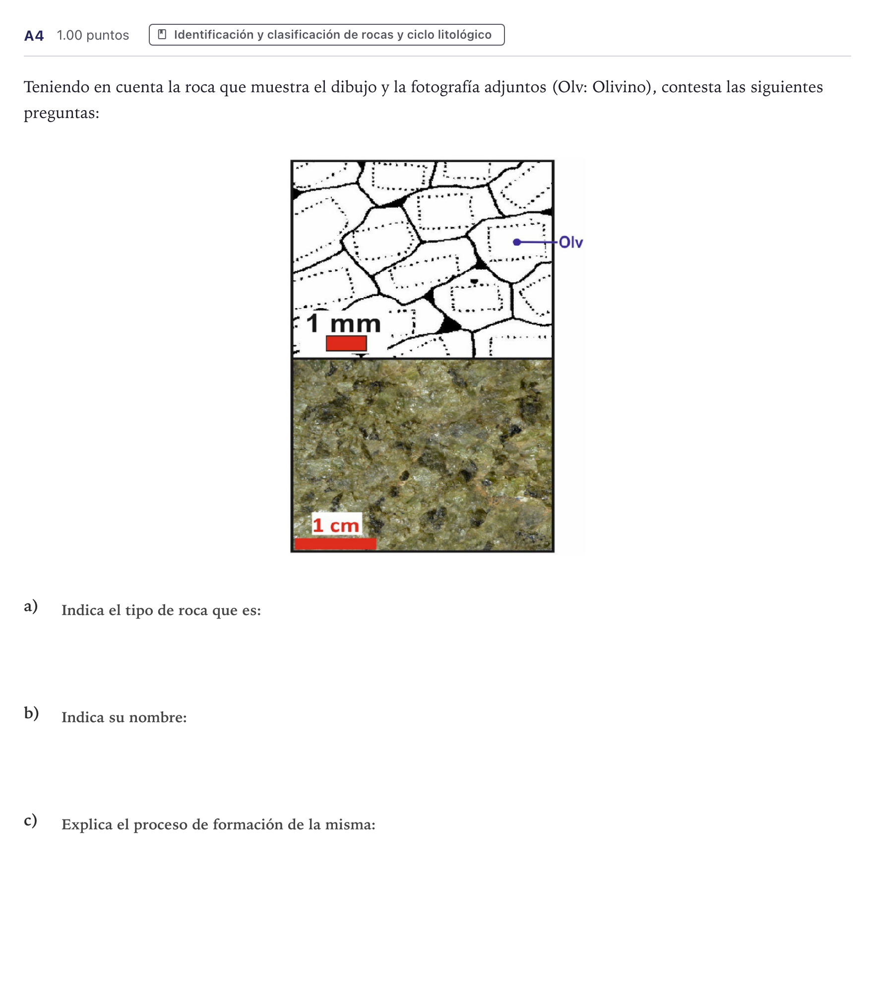 Enunciado: Ejercicio A4 · Geología PAU Canarias Junio 2022