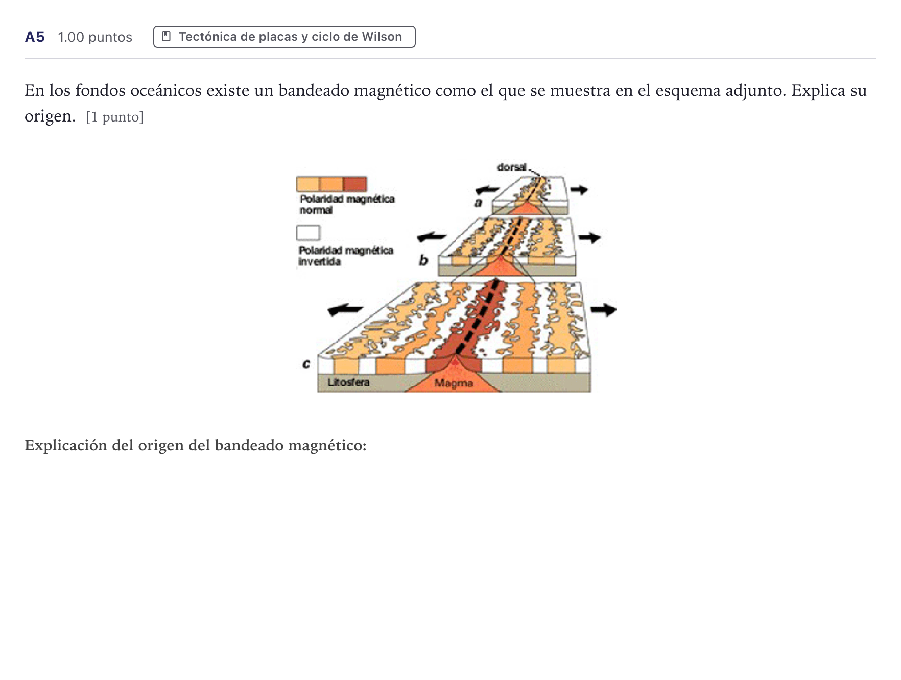 Enunciado: Ejercicio A5 · Geología PAU Canarias Junio 2022