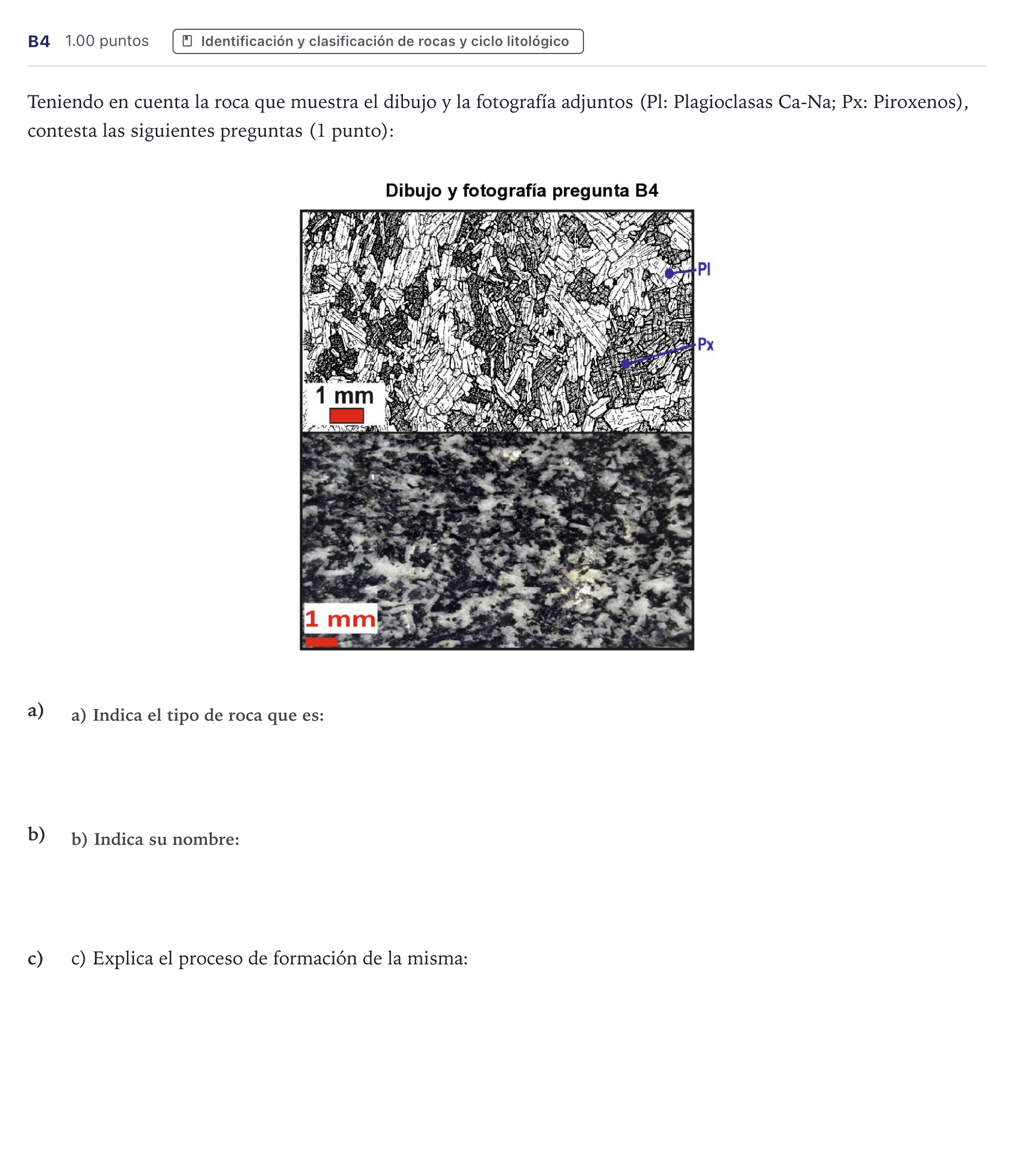 Enunciado: Ejercicio B4 · Geología PAU Canarias Junio 2022