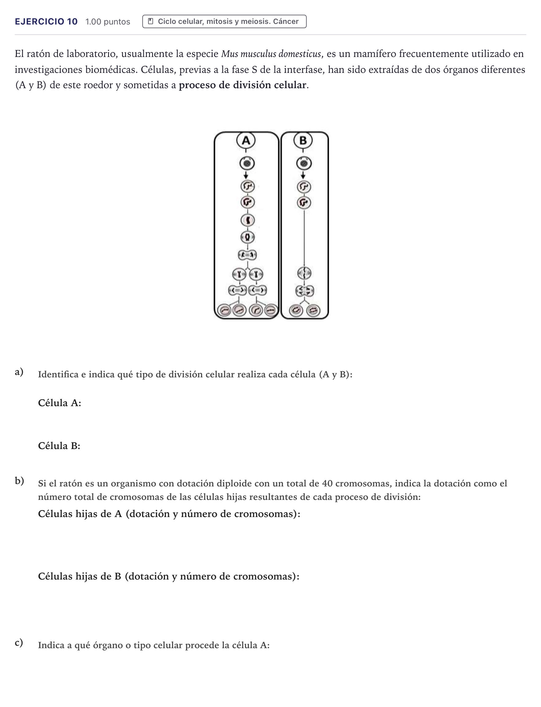Enunciado: Problema 10 · Biología PAU Canarias Julio 2022
