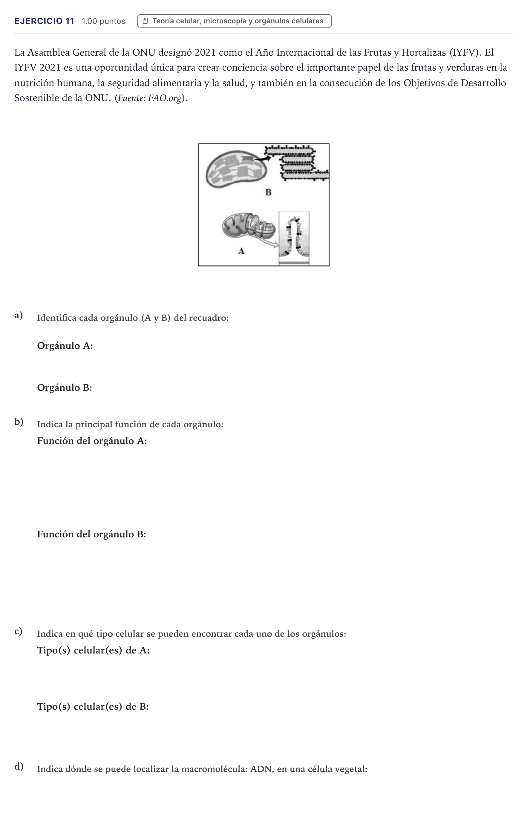 Enunciado: Problema 11 · Biología PAU Canarias Julio 2022