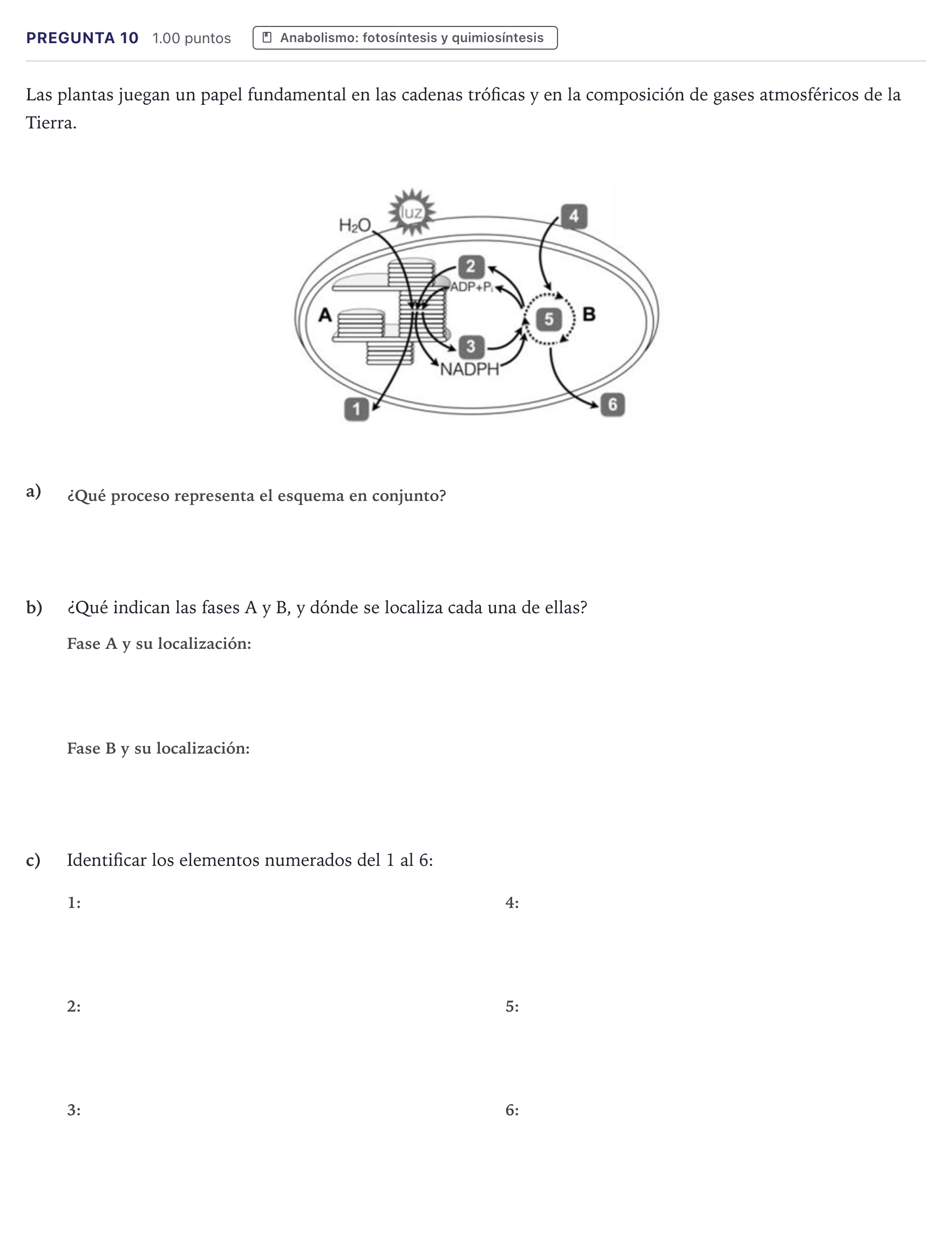 Enunciado: Pregunta 10 · Biología PAU Canarias Junio 2023