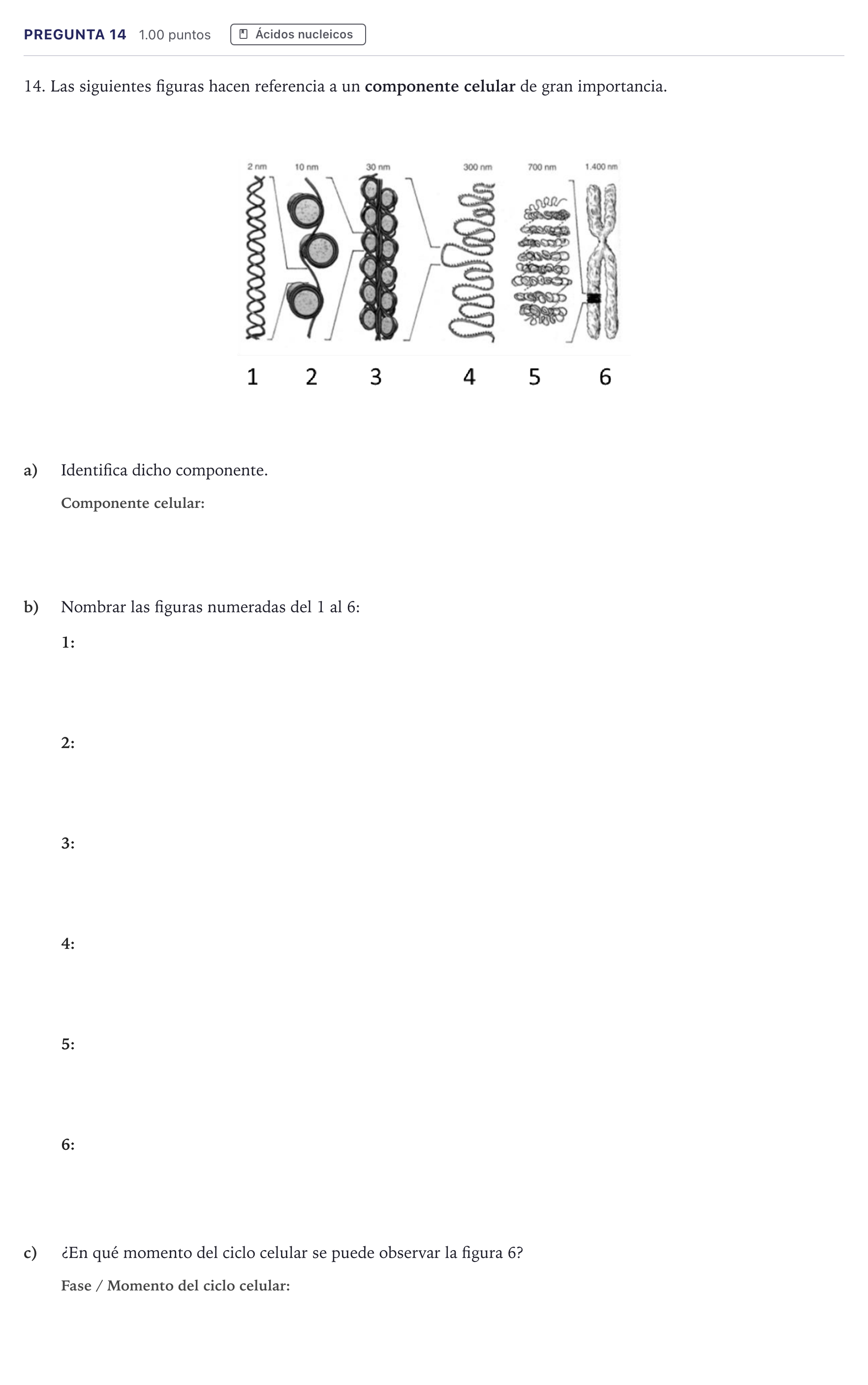 Enunciado: Pregunta 14 · Biología PAU Canarias Junio 2023