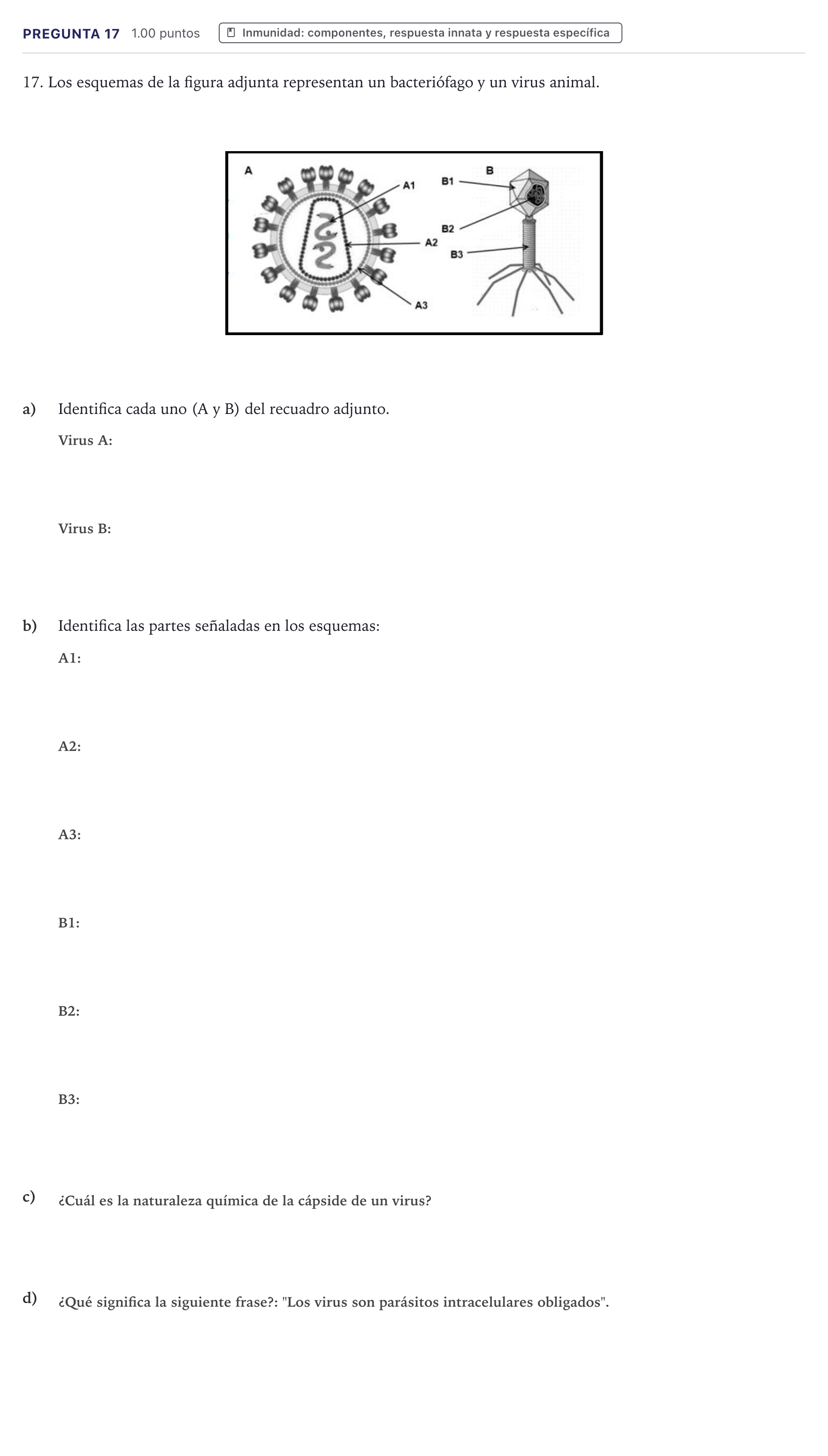 Enunciado: Pregunta 17 · Biología PAU Canarias Junio 2023