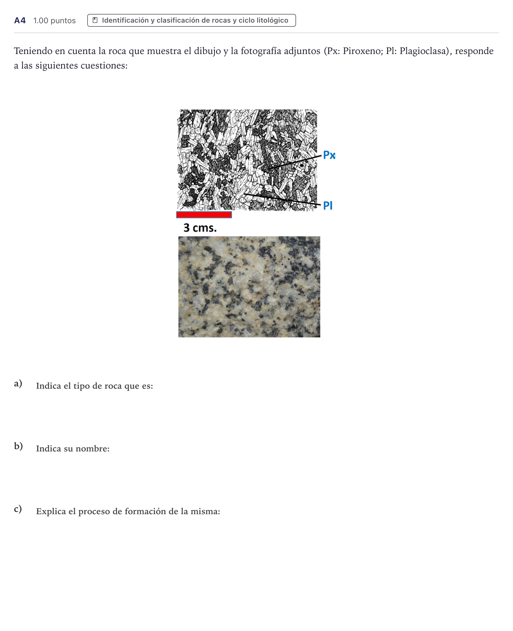 Enunciado: Ejercicio A4 · Geología PAU Canarias Julio 2023