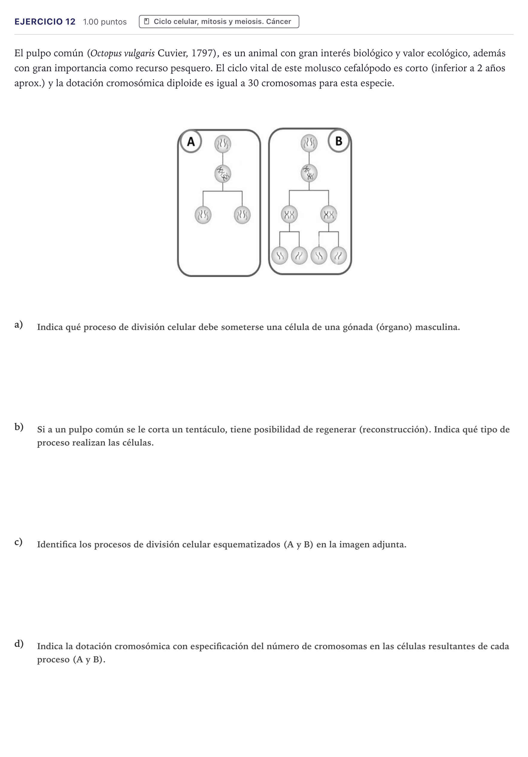 Enunciado: Problema 12 · Biología PAU Canarias Julio 2023