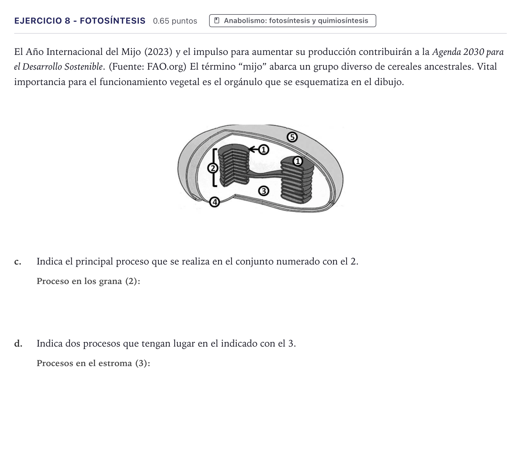 Enunciado: Ejercicio 8 - Fotosíntesis · Biología PAU Canarias Julio 2023