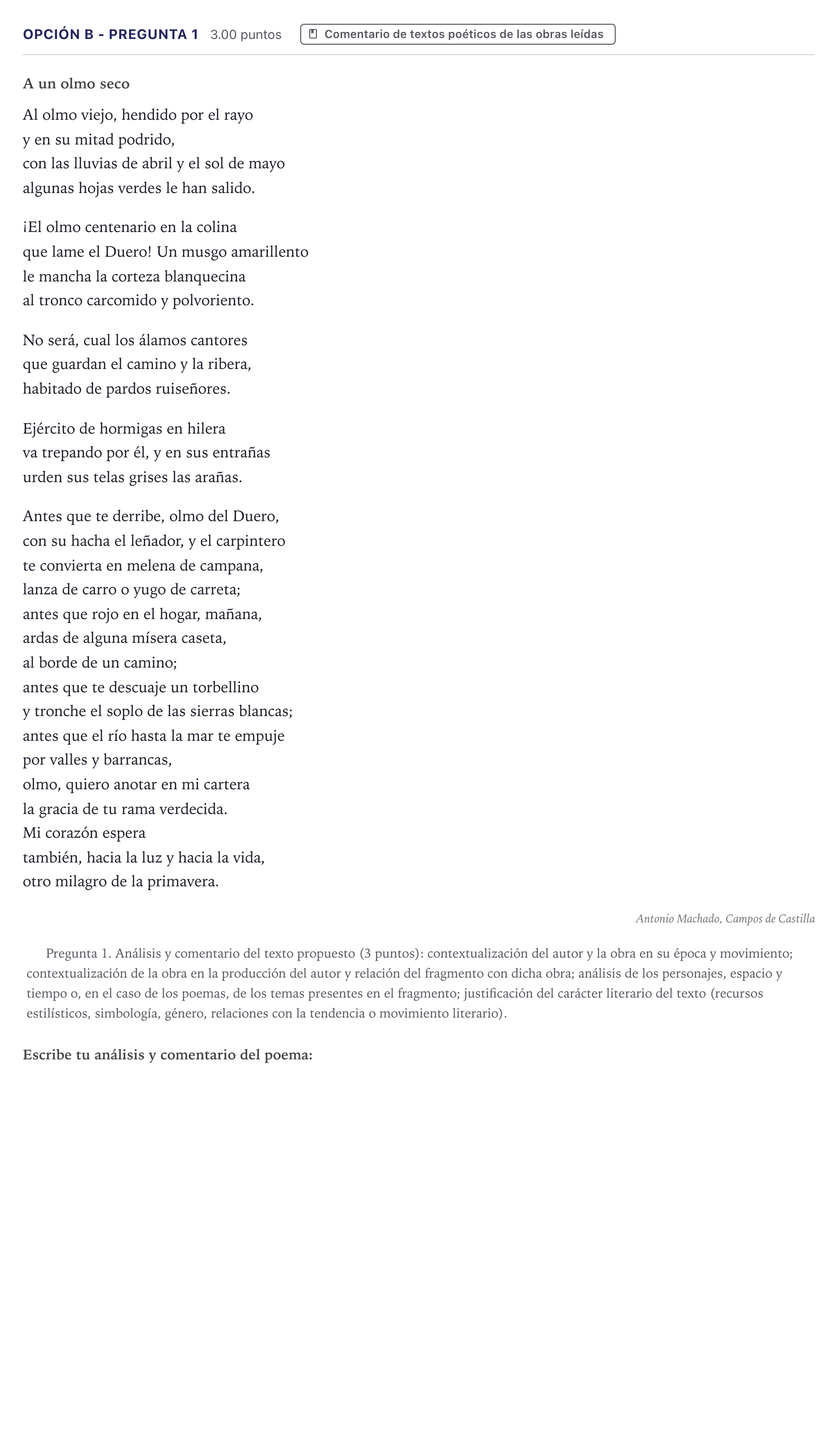 Enunciado: Opción B - Pregunta 1 · Lengua Castellana y Literatura II PAU Canarias Junio (Humanidades) 2024