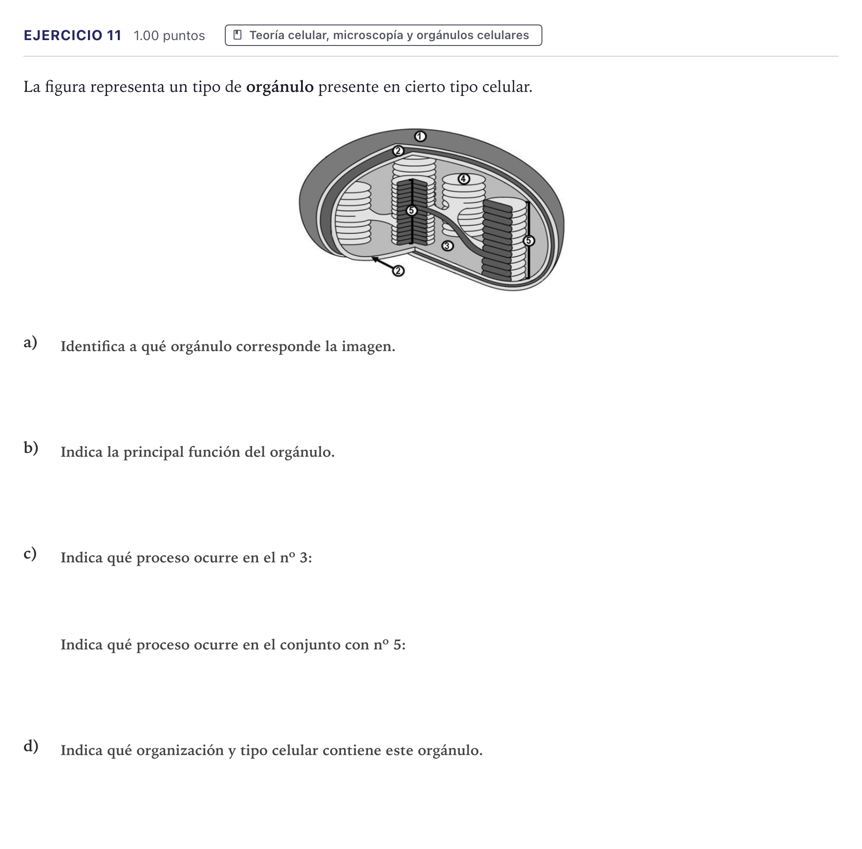 Enunciado: Problema 11 · Biología PAU Canarias Junio 2024