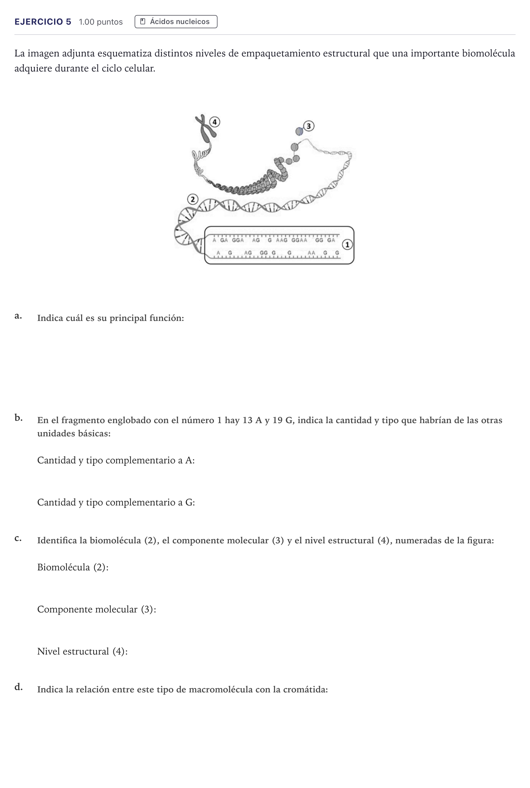 Enunciado: Problema 5 · Biología PAU Canarias Junio 2024
