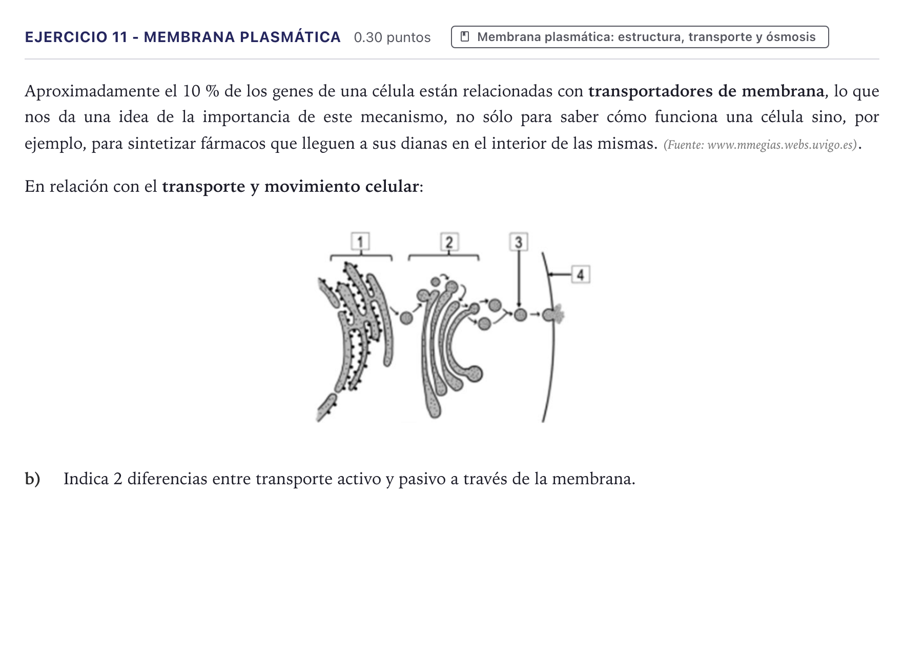 Enunciado: Ejercicio 11 - Membrana plasmática · Biología PAU Canarias Julio 2024