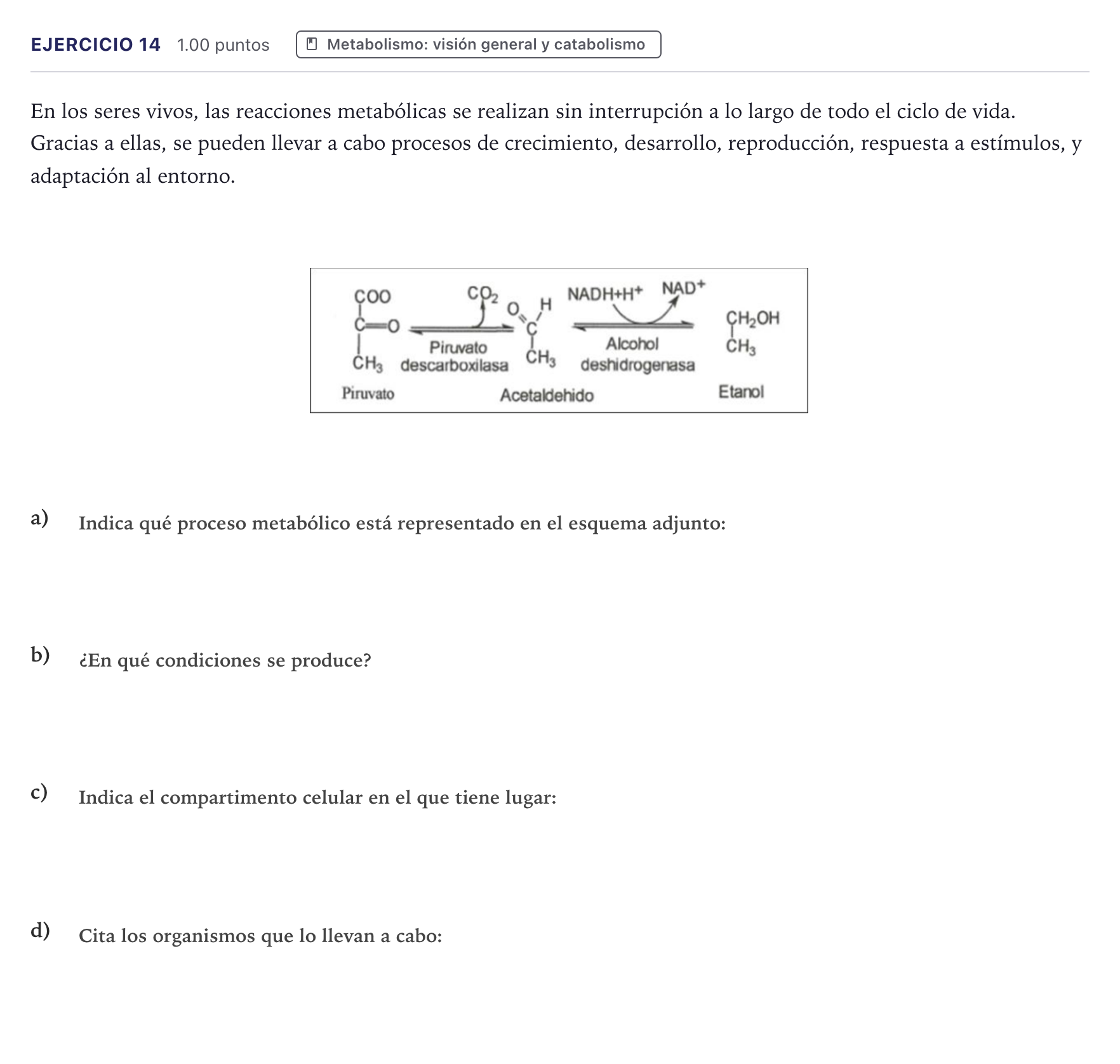 Enunciado: Problema 14 · Biología PAU Canarias Julio 2024