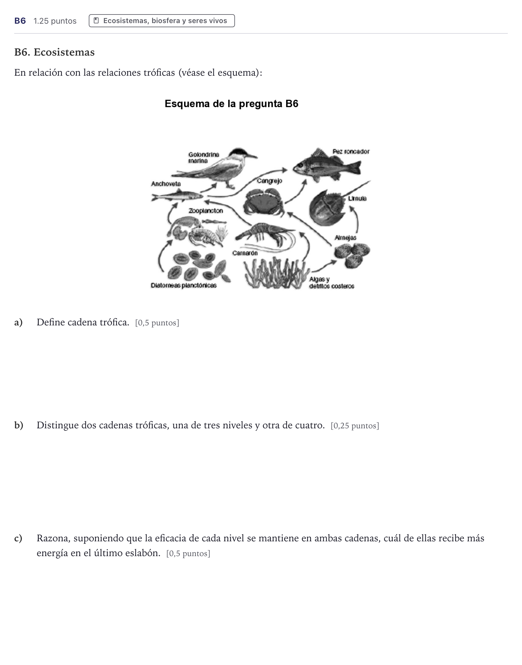 Enunciado: Ejercicio B6 · Ciencias Generales PAU Canarias Julio (Ciencias) 2024