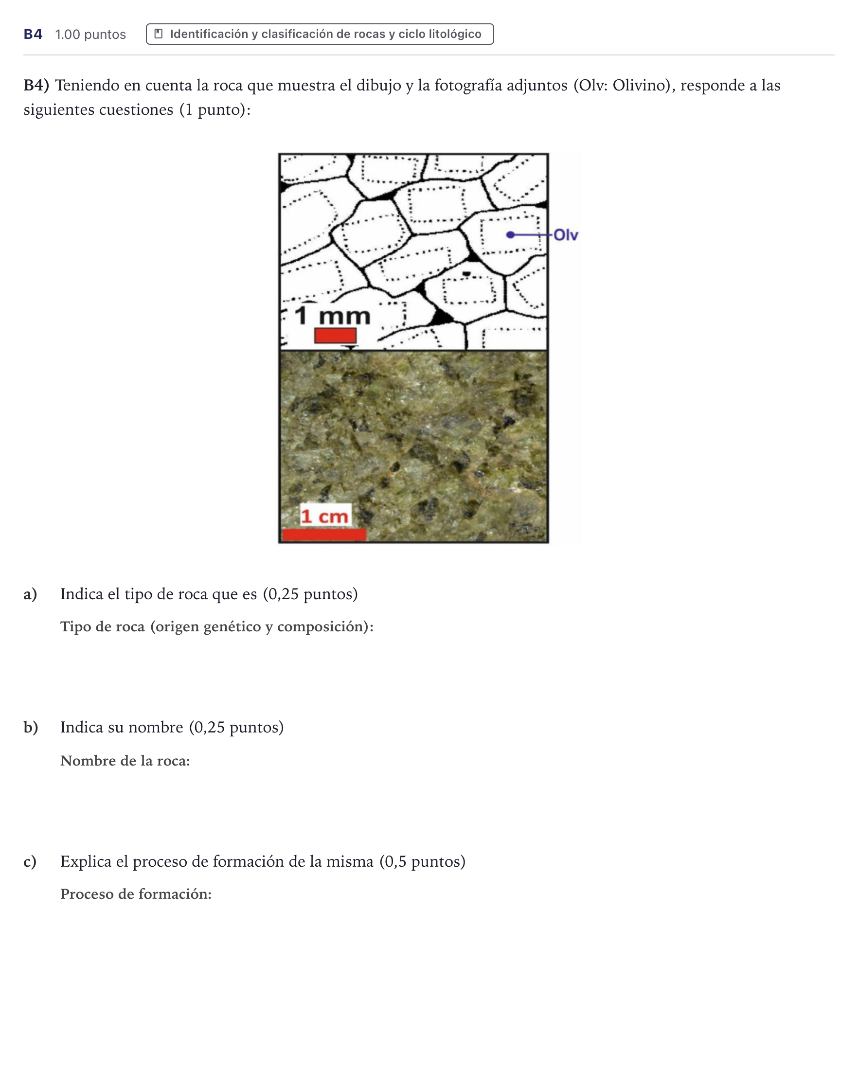 Enunciado: Ejercicio B4 · Geología PAU Canarias Junio (Ciencias) 2025