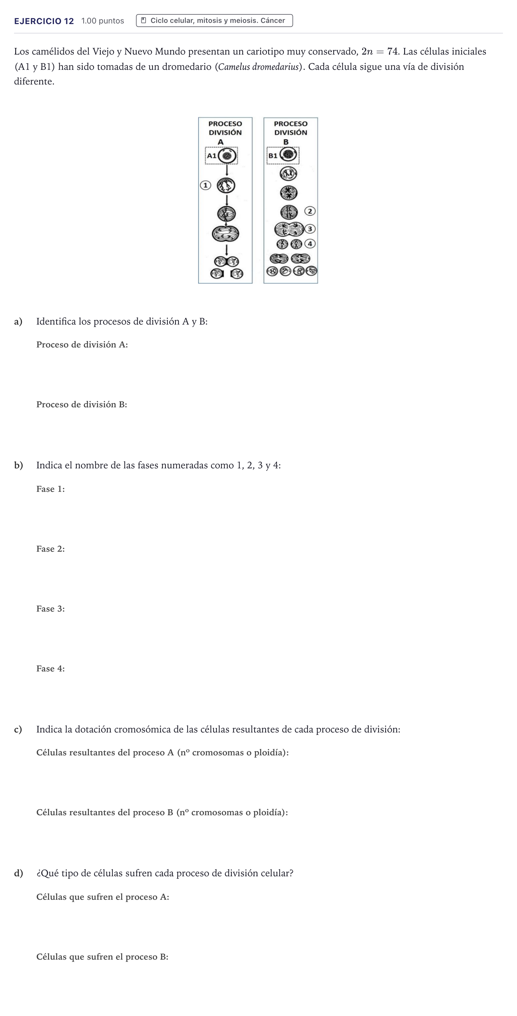Enunciado: Problema 12 · Biología PAU Canarias Junio 2025