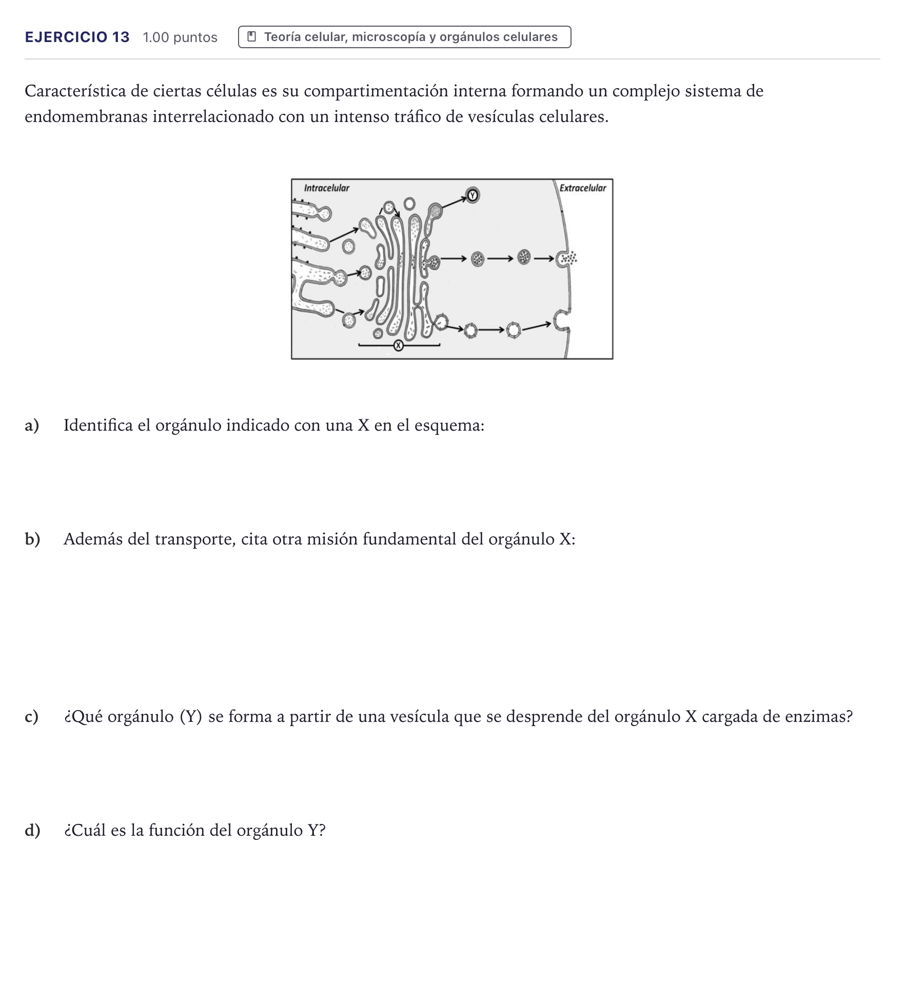 Enunciado: Problema 13 · Biología PAU Canarias Junio 2025