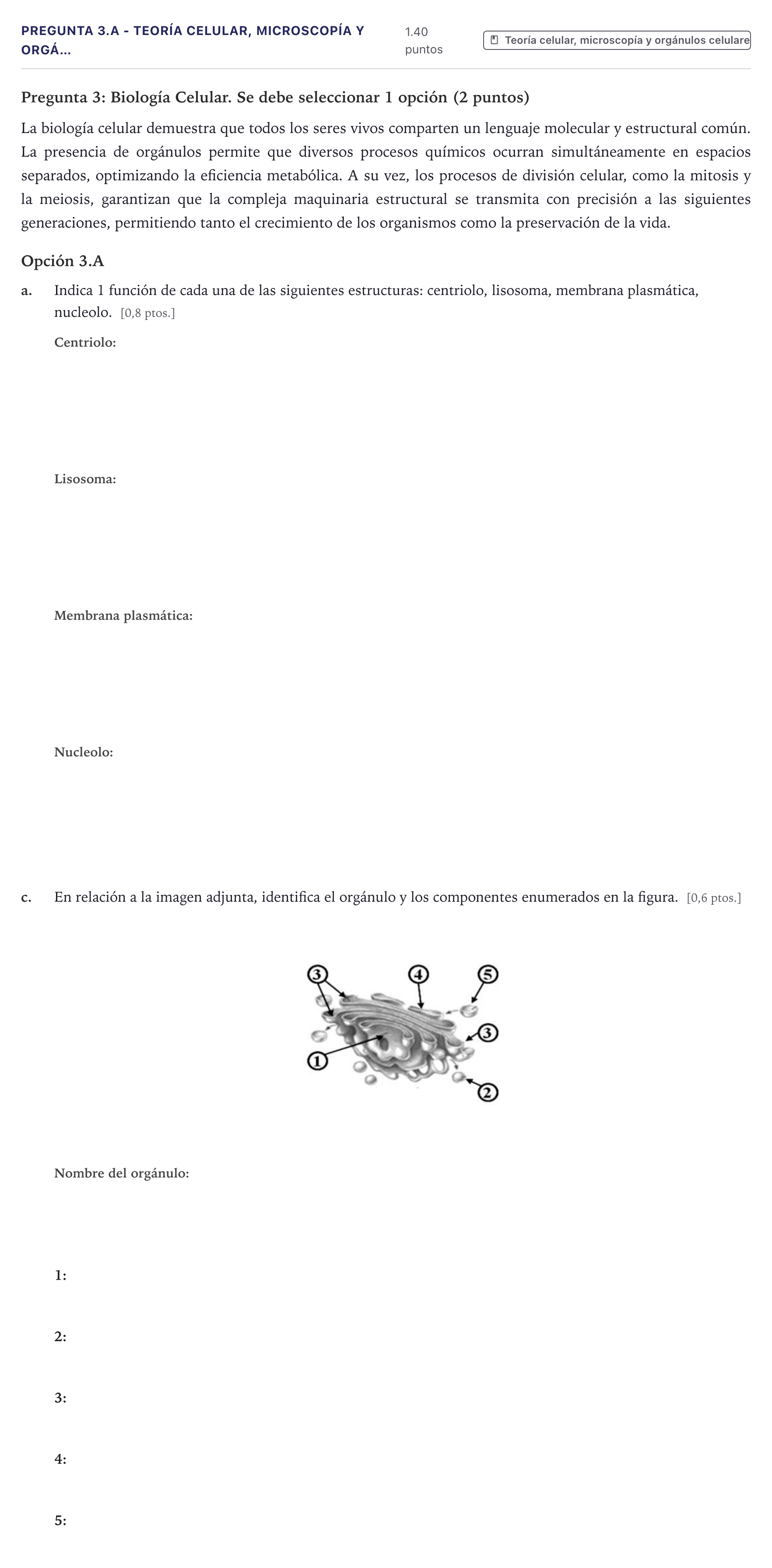 Enunciado: Pregunta 3.A - Teoría celular, microscopía y orgá… · Biología PAU Canarias Junio 2026