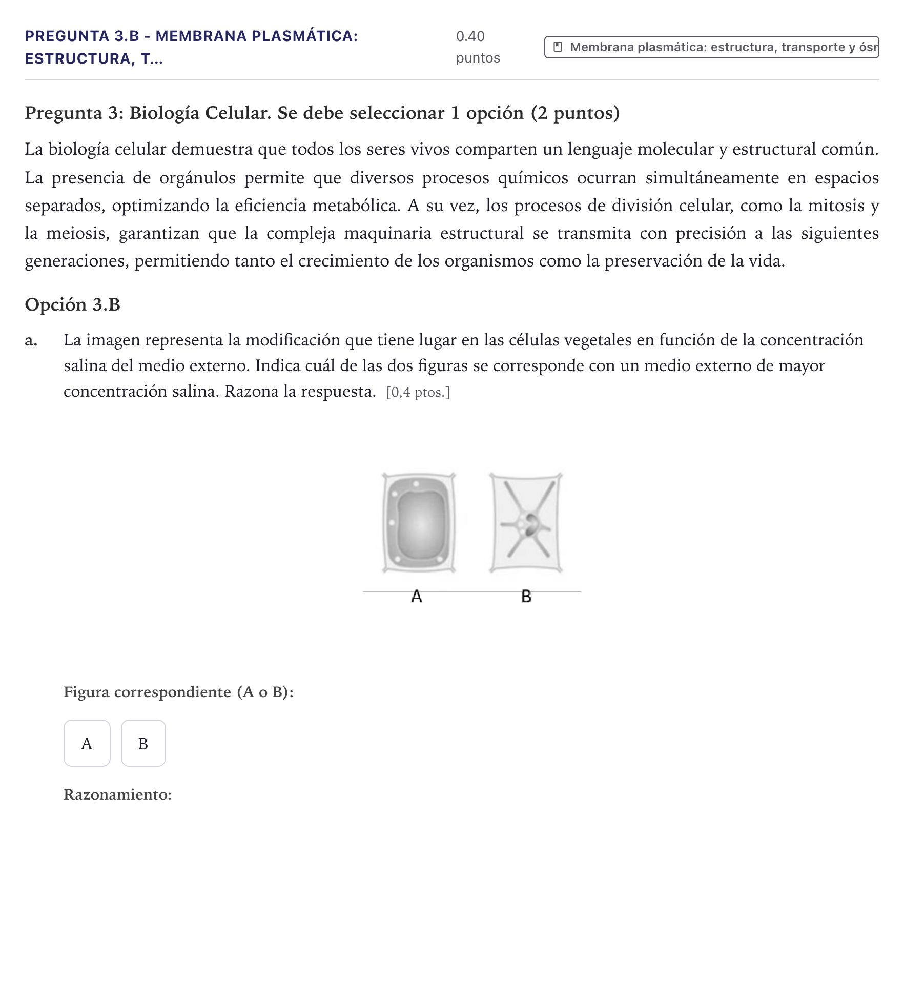 Enunciado: Pregunta 3.B - Membrana plasmática: estructura, t… · Biología PAU Canarias Junio 2026
