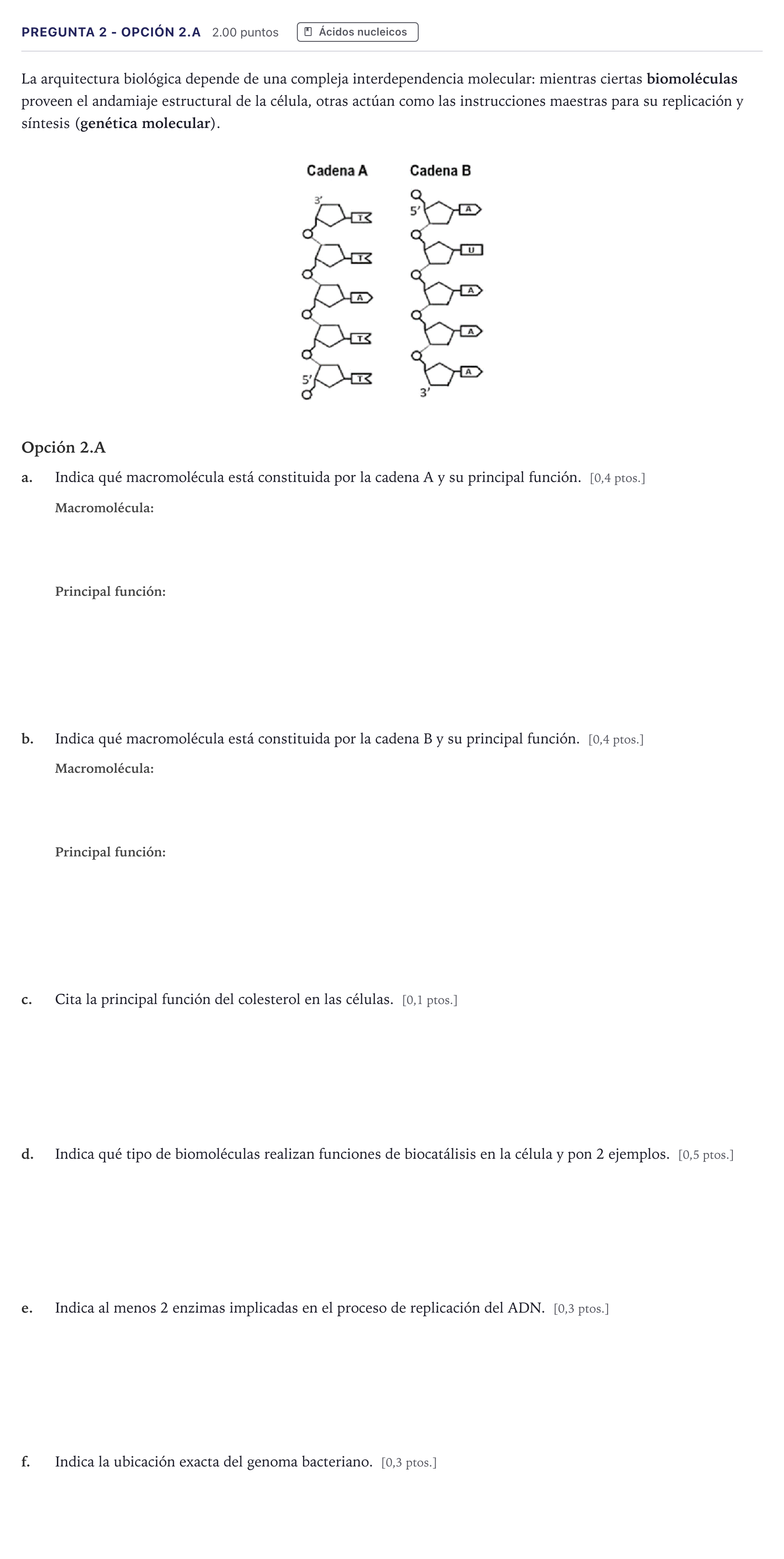 Enunciado: Pregunta 2 - Opción 2.A · Biología PAU Canarias Julio 2026
