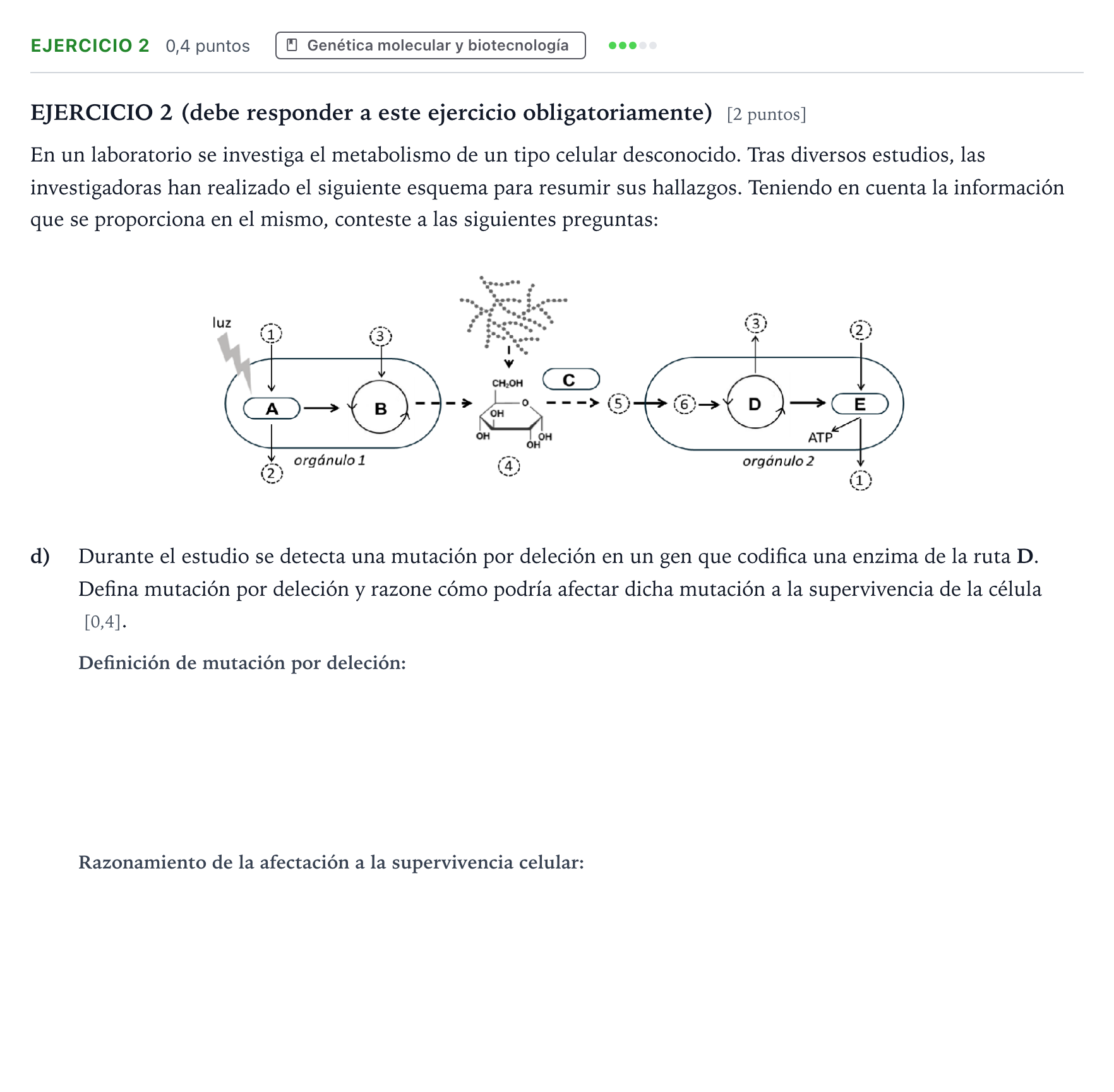 Enunciado: Ejercicio 2 - Genética molecular y biotecnología · Biología PAU Andalucía Ordinaria Suplente 1 2026