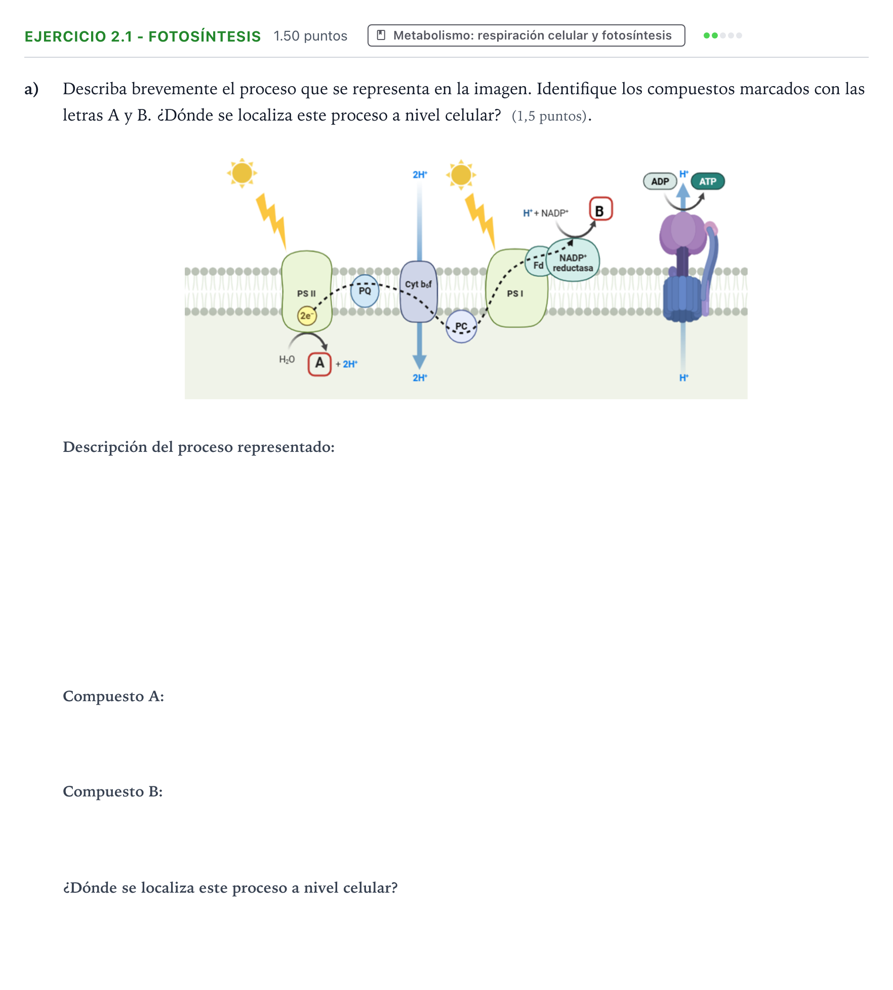 Enunciado: Ejercicio 2.1 - Fotosíntesis · Biología PAU Valencia Extraordinaria 2026