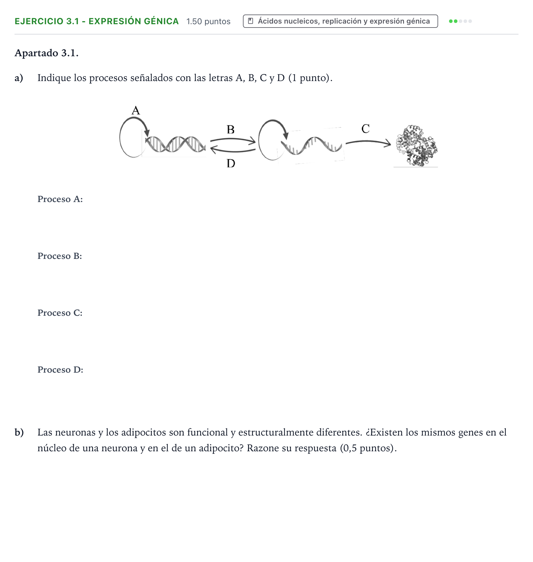 Enunciado: Ejercicio 3.1 - Expresión génica · Biología PAU Valencia Extraordinaria 2026